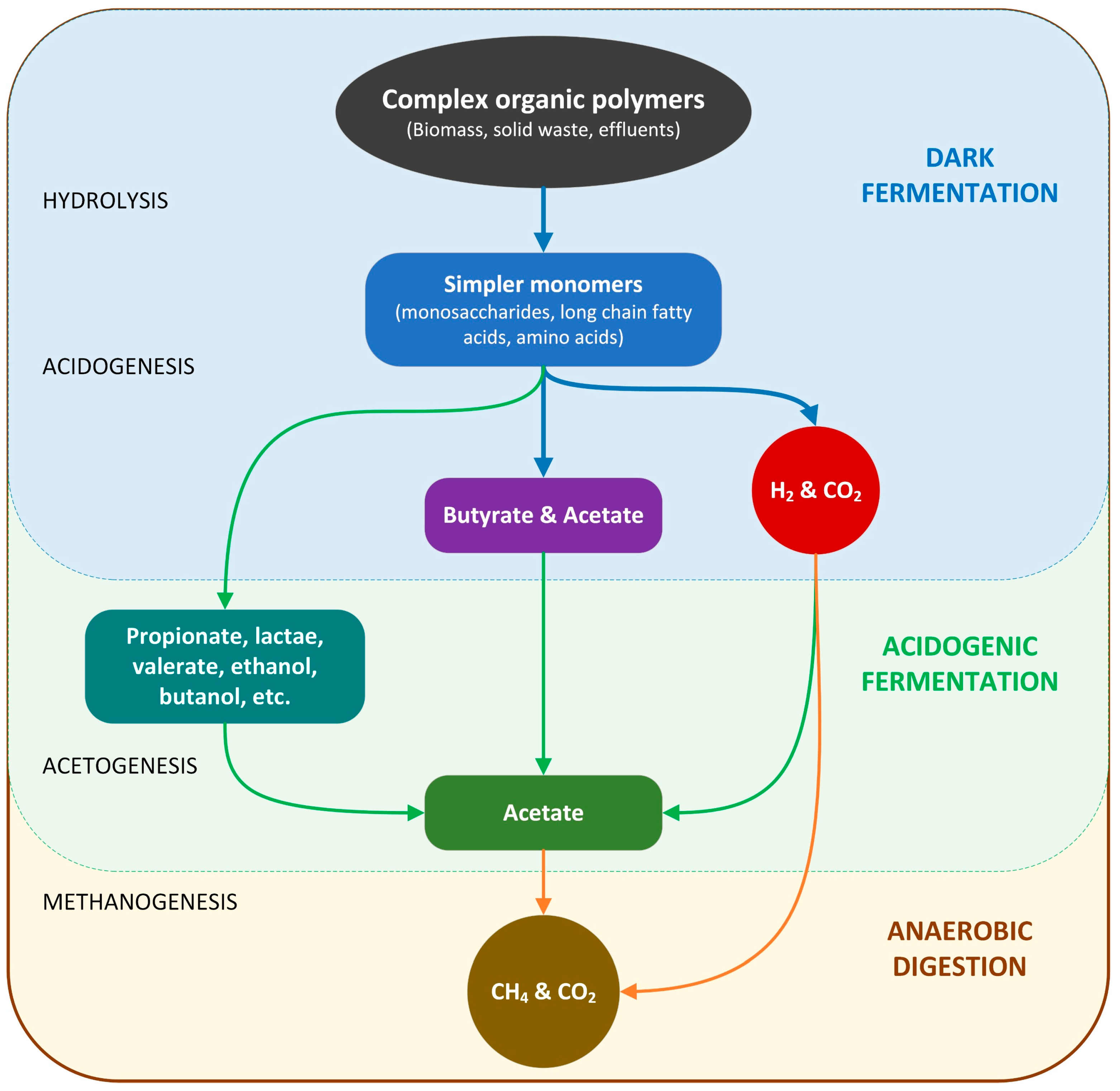 Fermentation 09 00242 g003 Fermentation 09 00242 g003