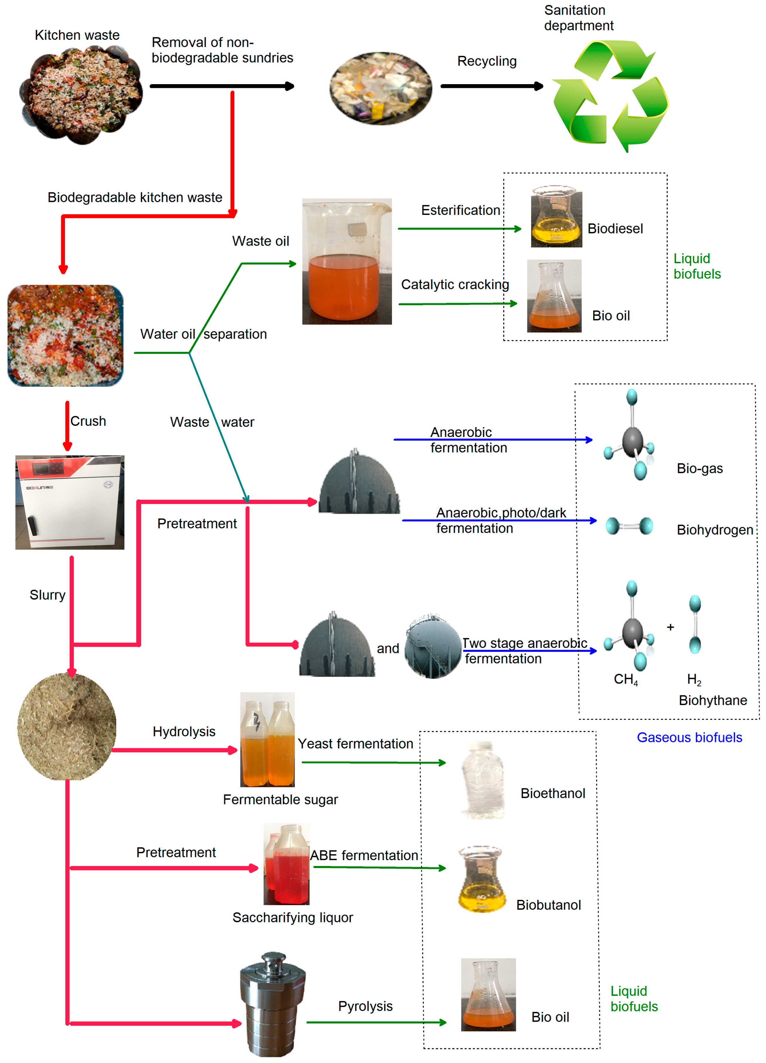 Fermentation 09 00247 g002 Fermentation 09 00247 g002