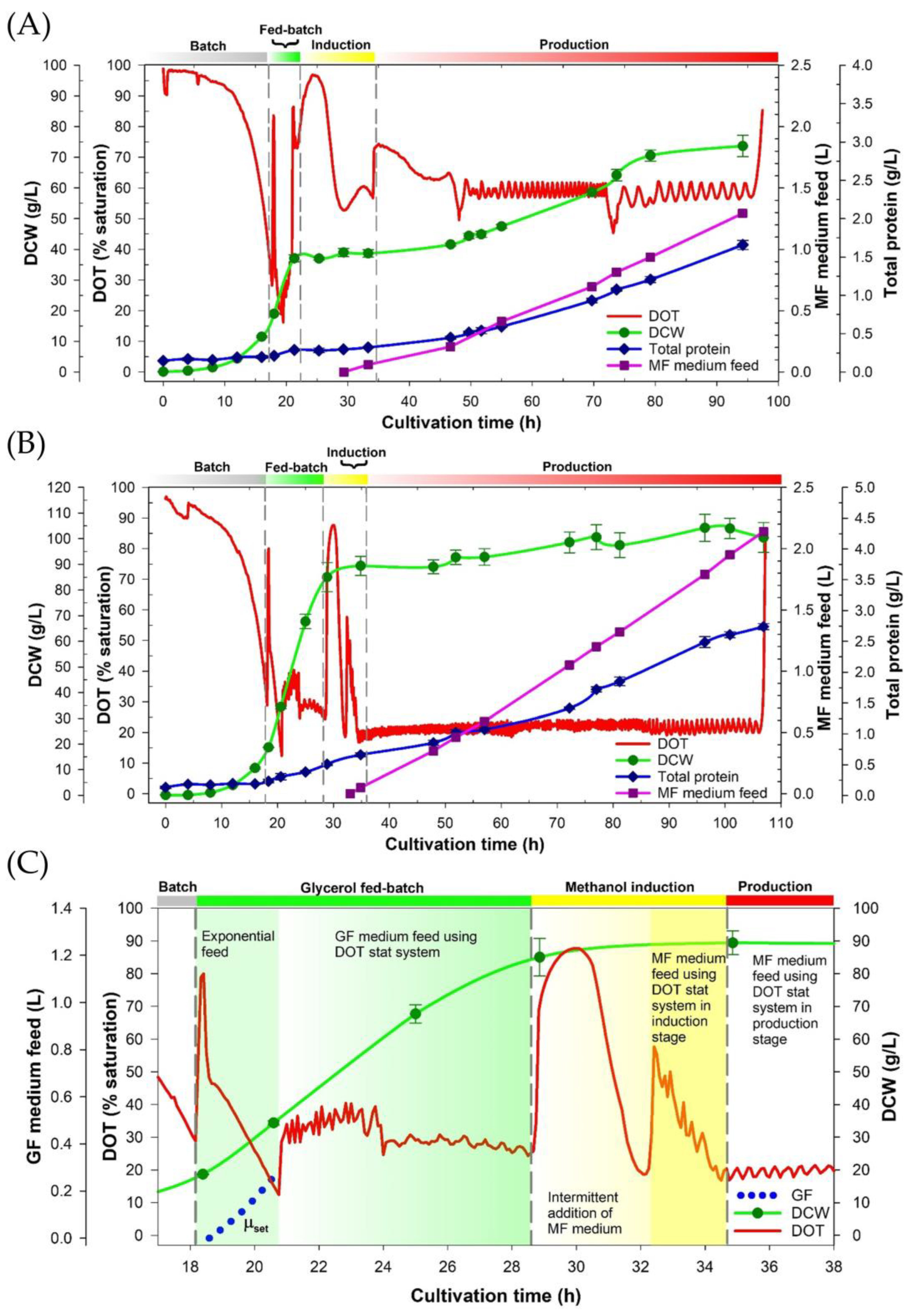 Fermentation 09 00277 g001