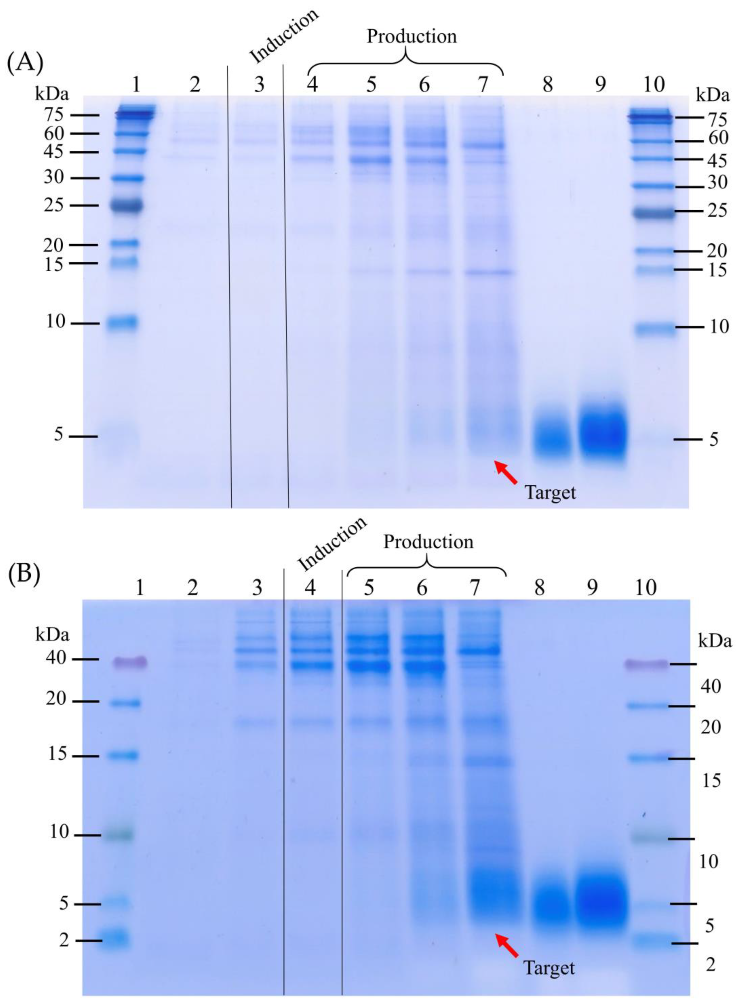 Fermentation 09 00277 g002