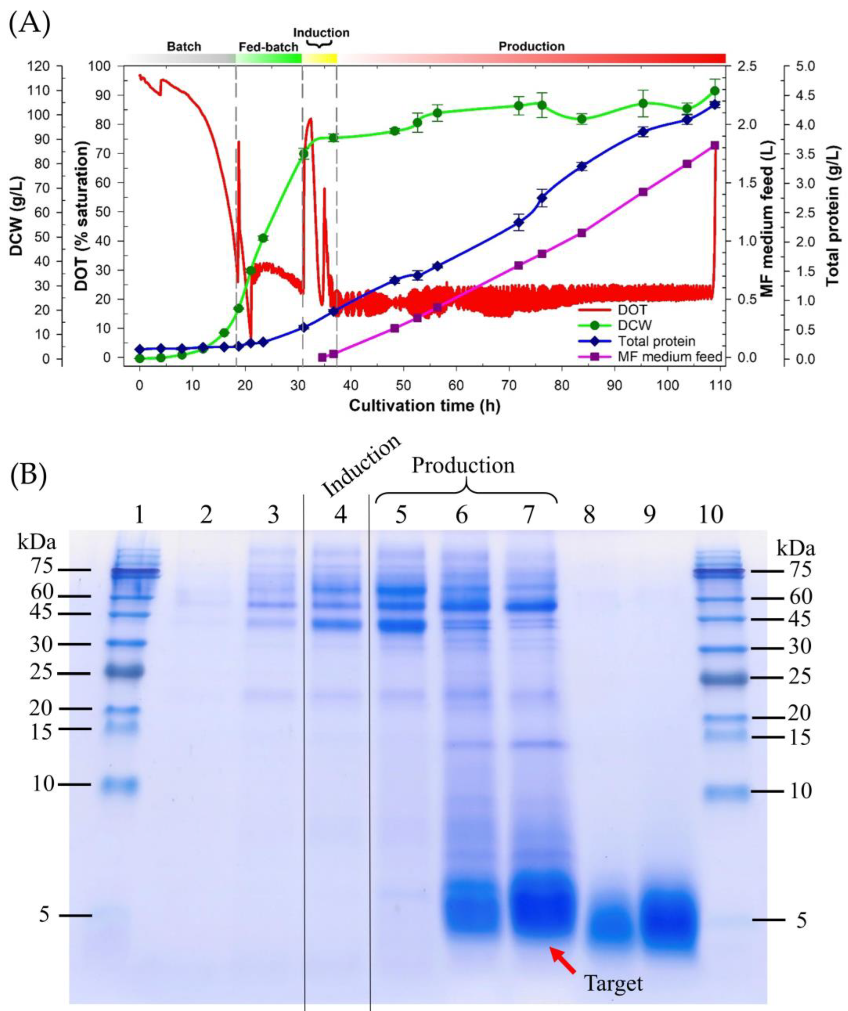 Fermentation 09 00277 g003