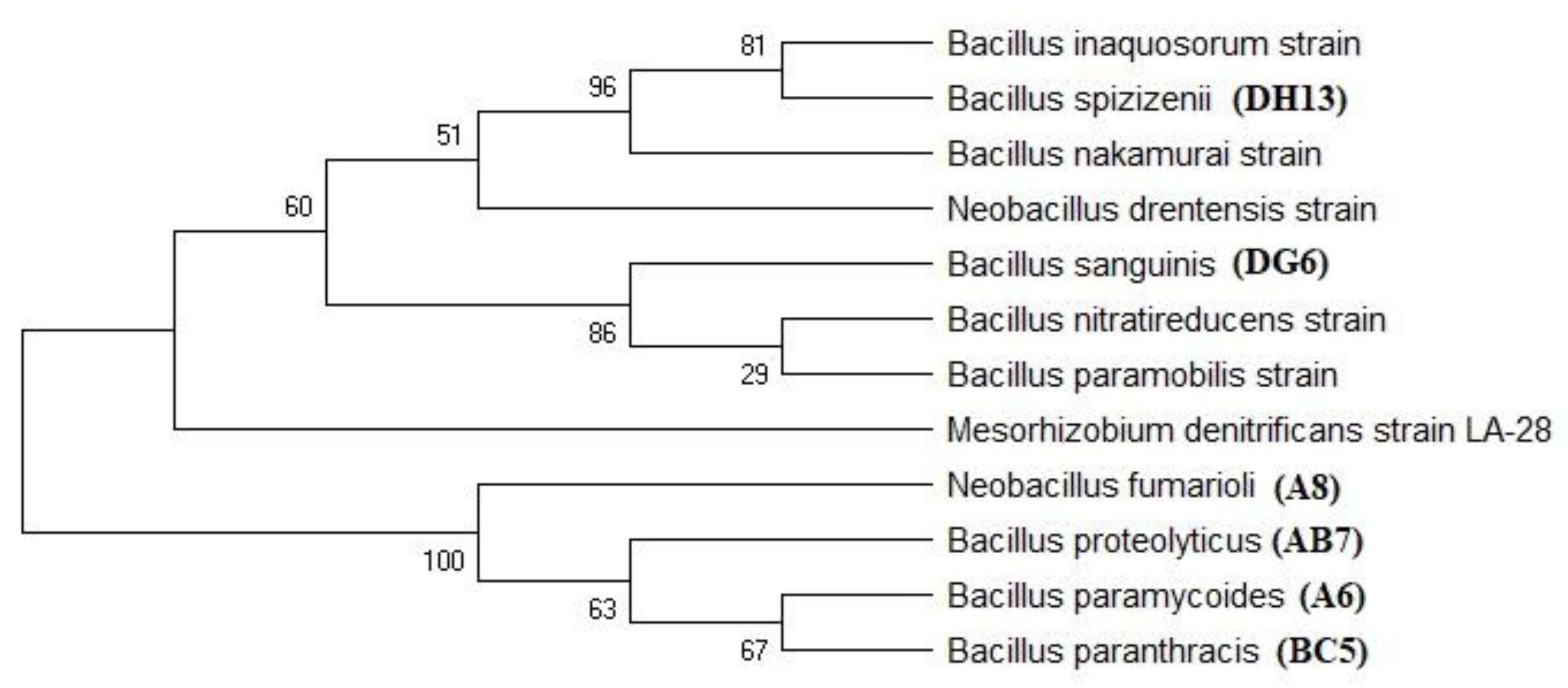 Fermentation 09 00298 g004 Fermentation 09 00298 g004