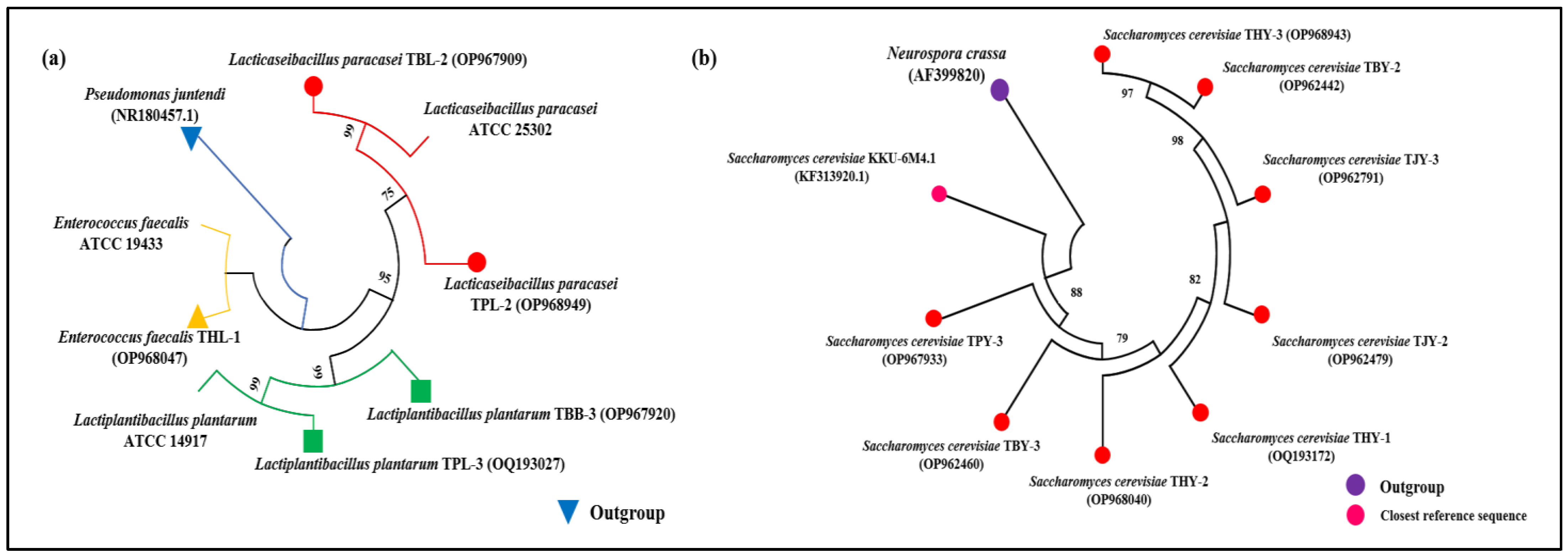 Fermentation 09 00301 g003 Fermentation 09 00301 g003