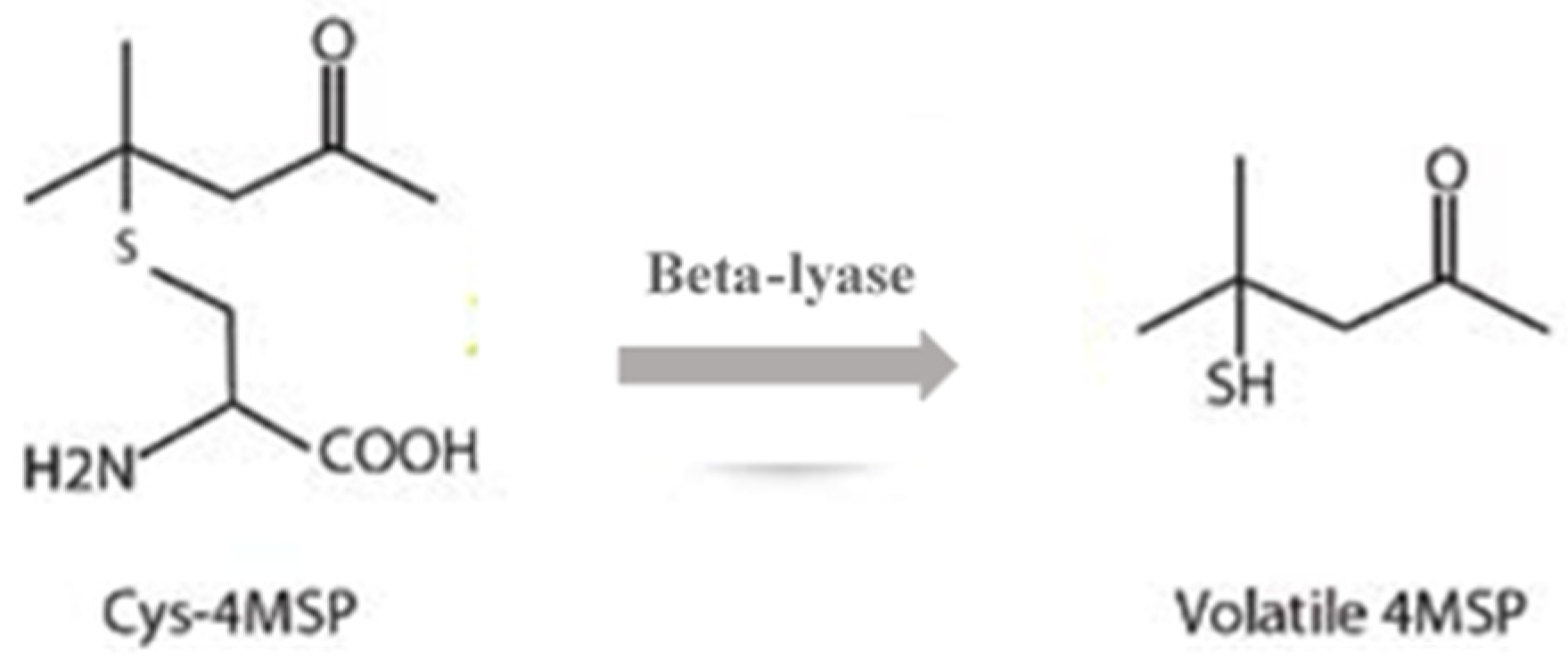 Fermentation 09 00327 g003 Fermentation 09 00327 g003