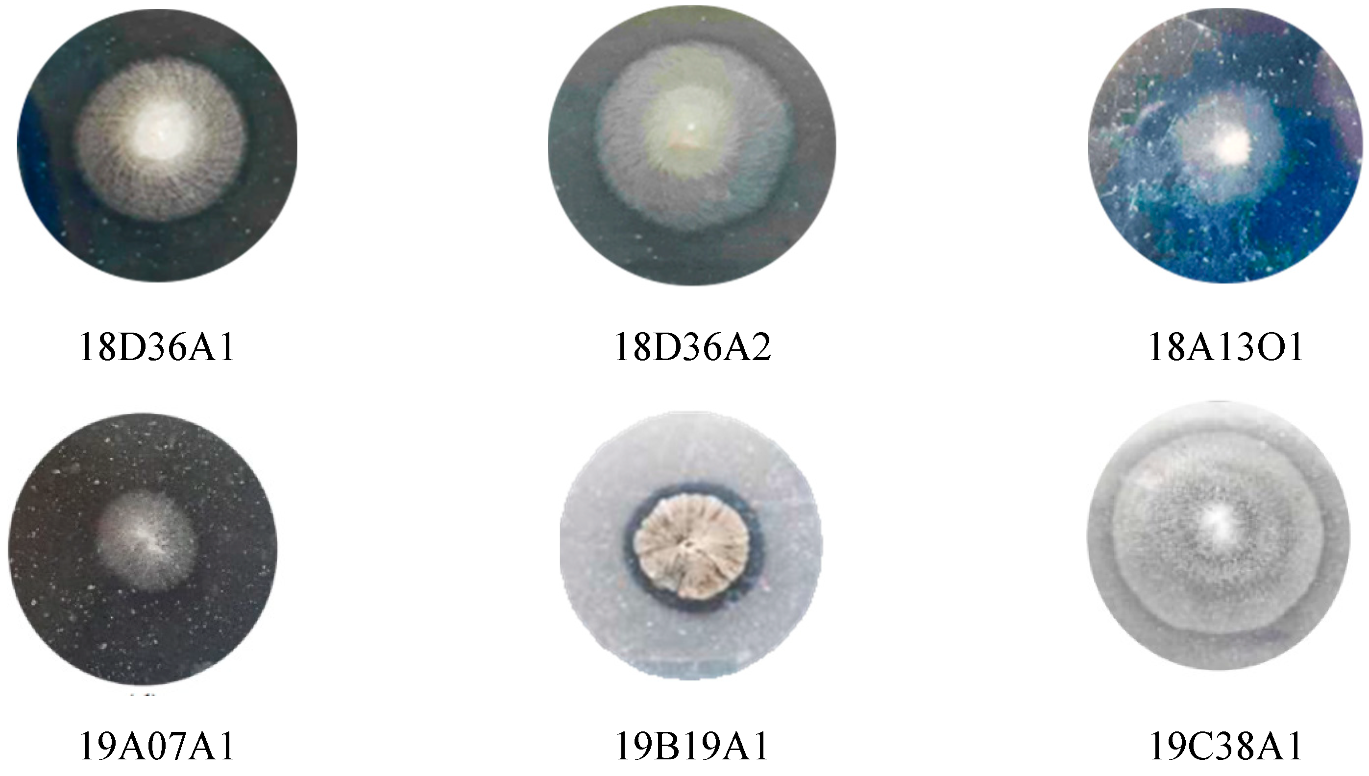 Fermentation 09 00334 g002 Fermentation 09 00334 g002