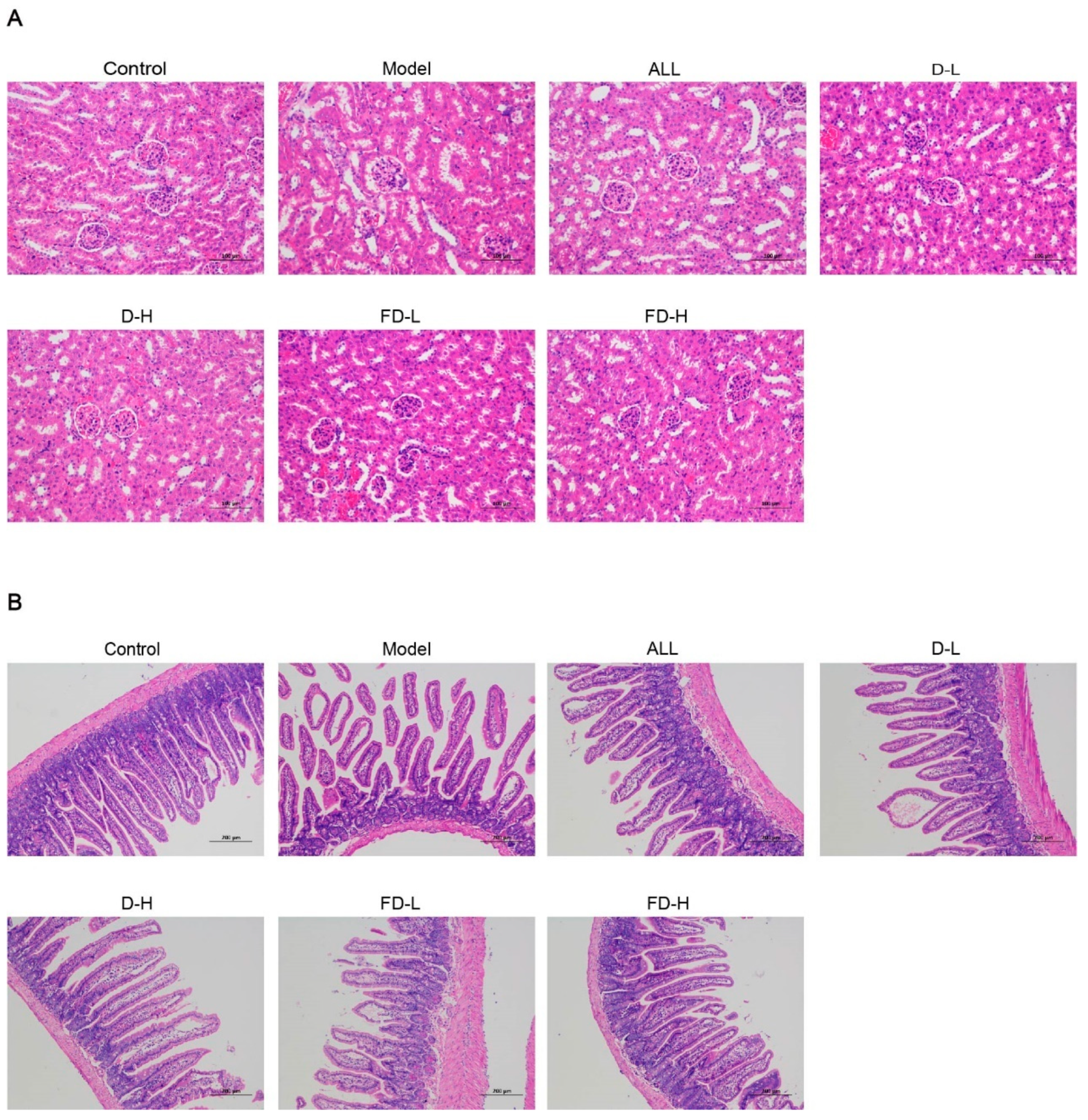 Fermentation 09 00352 g005 Fermentation 09 00352 g005