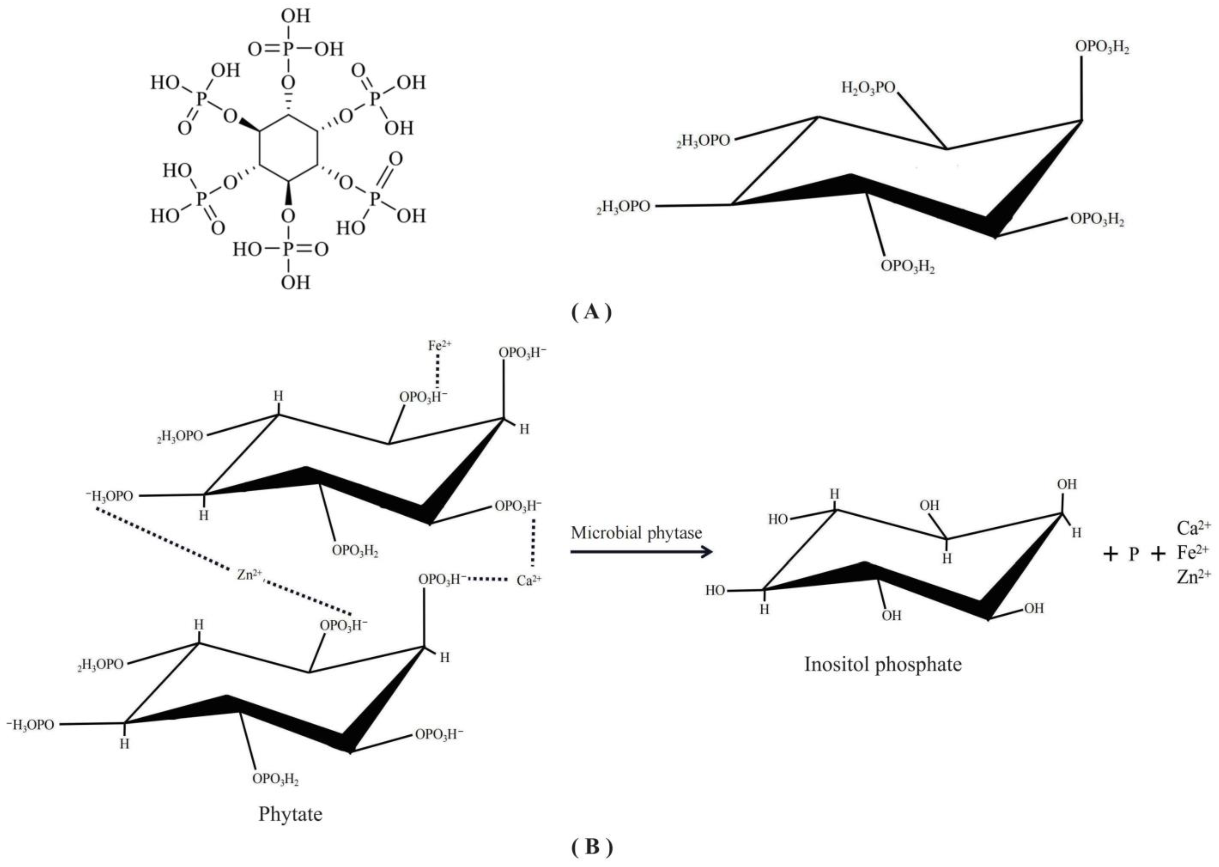 Fermentation 09 00364 g002