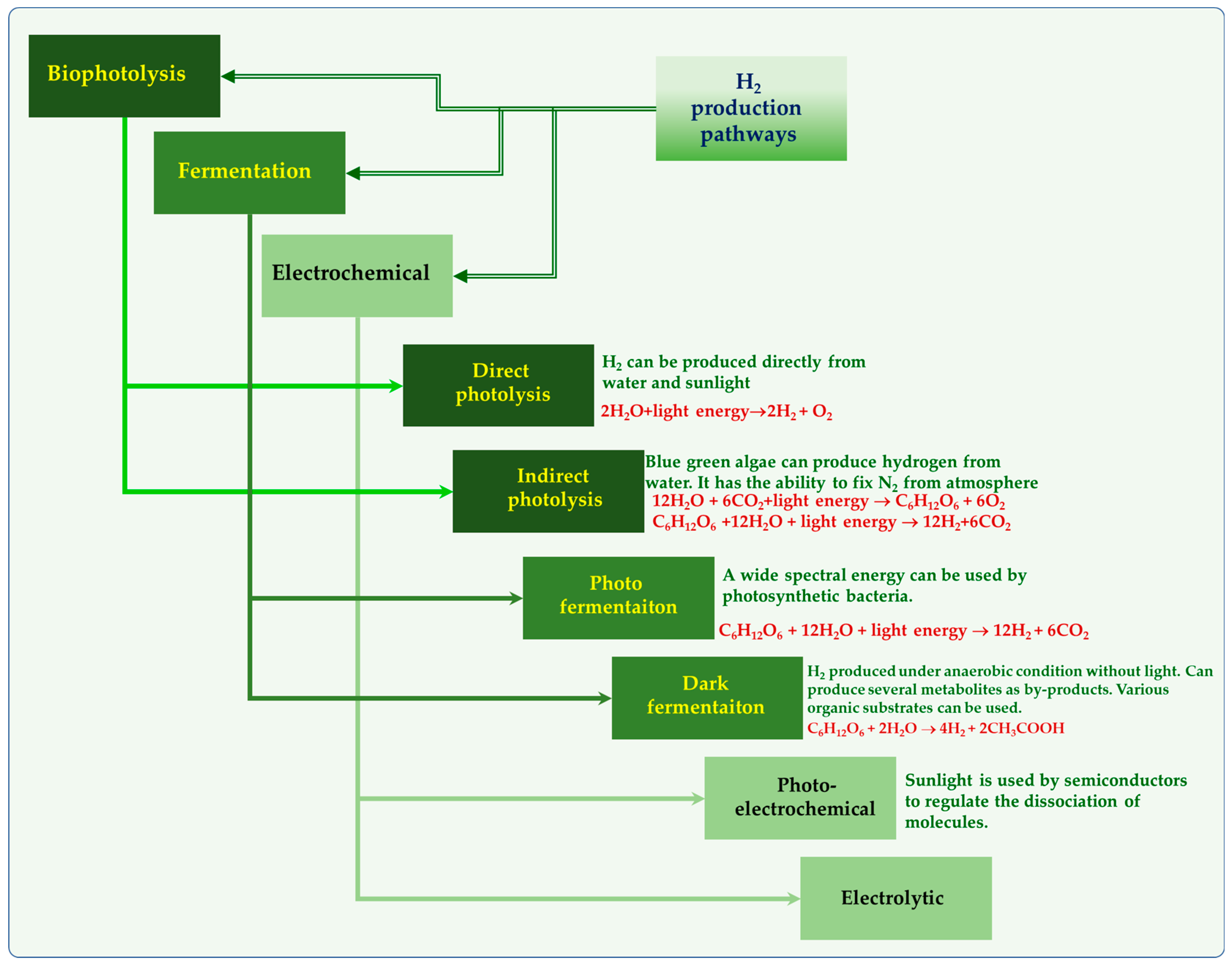 Fermentation 09 00368 g001