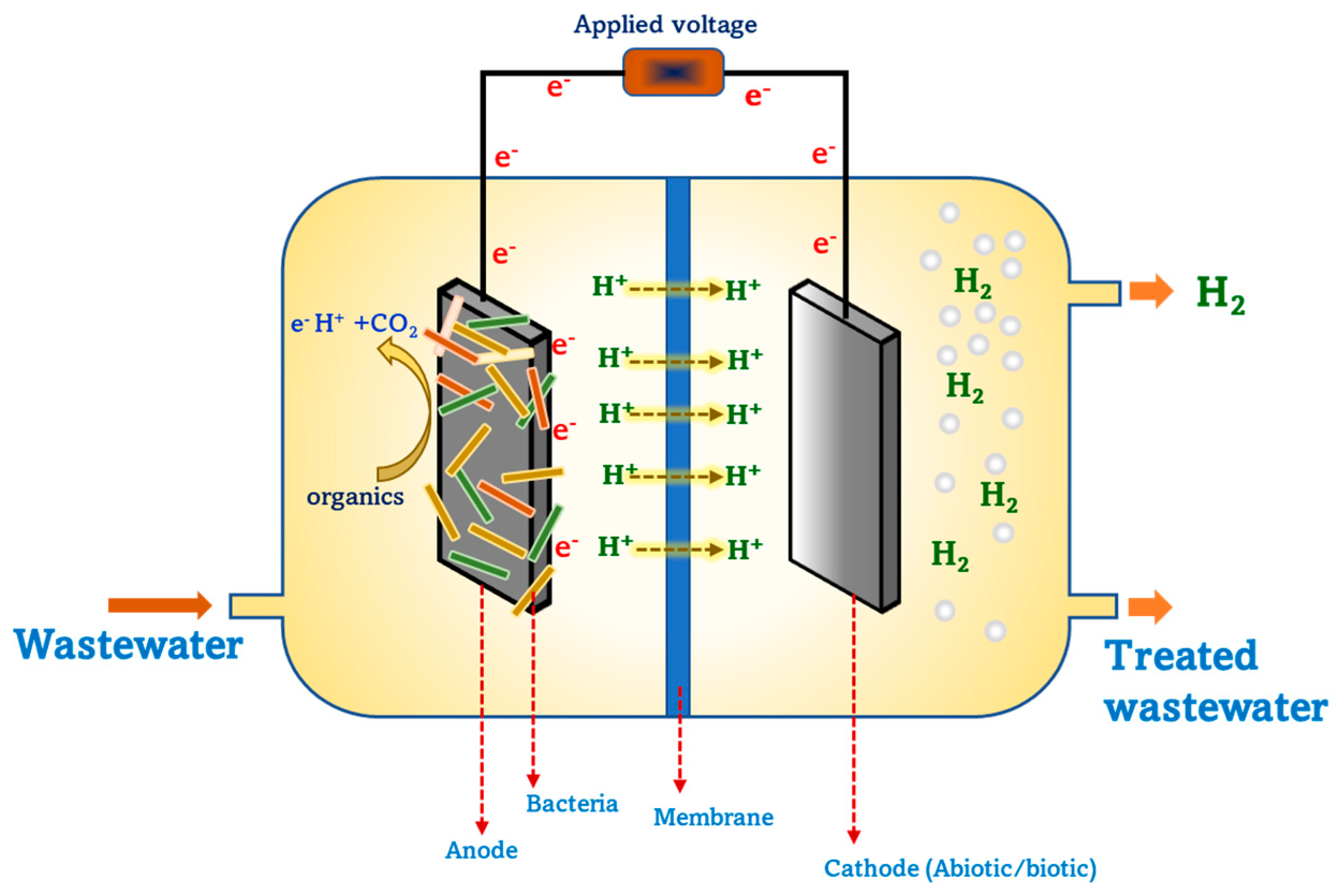 Fermentation 09 00368 g002