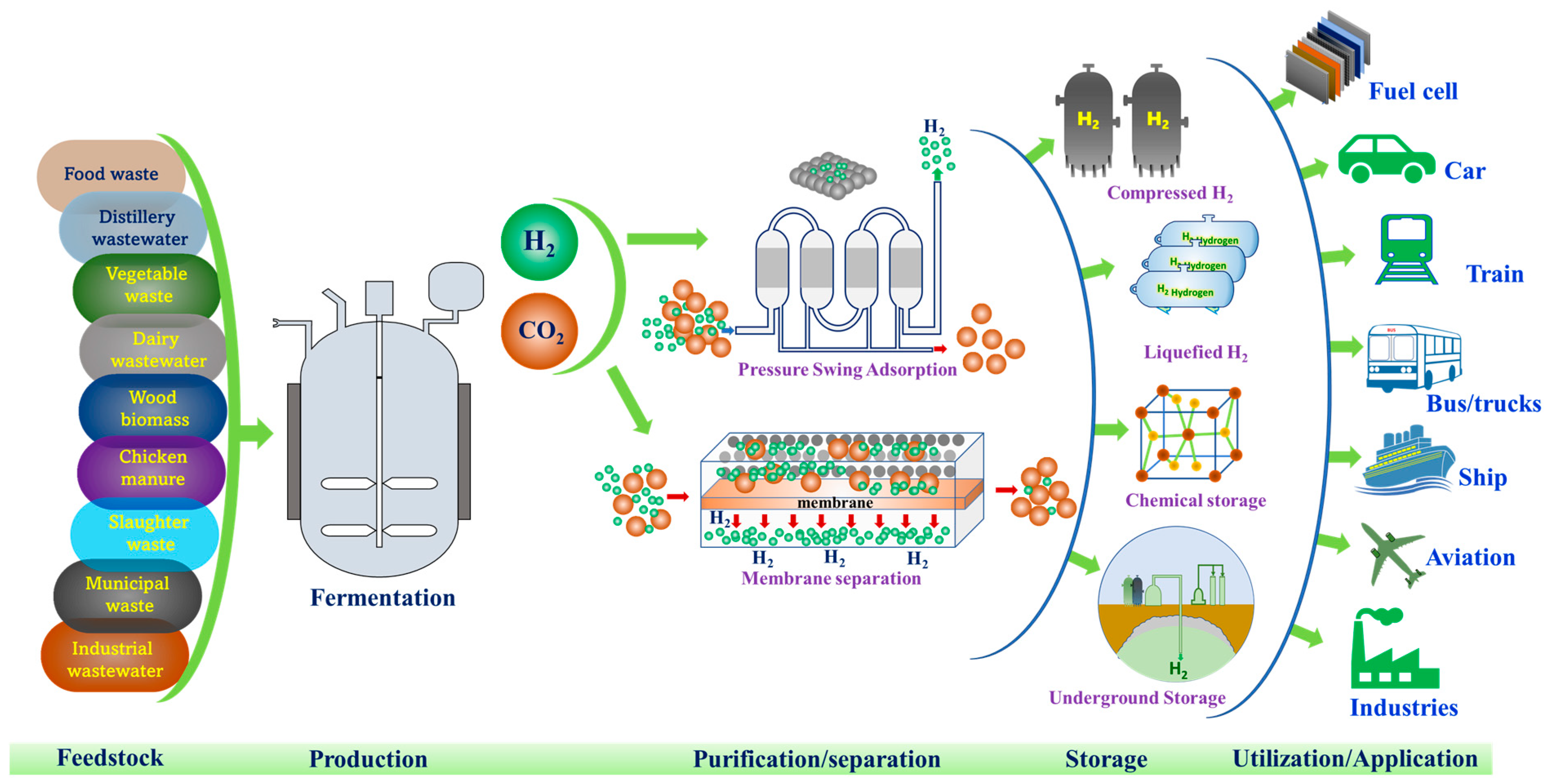 Fermentation 09 00368 g003