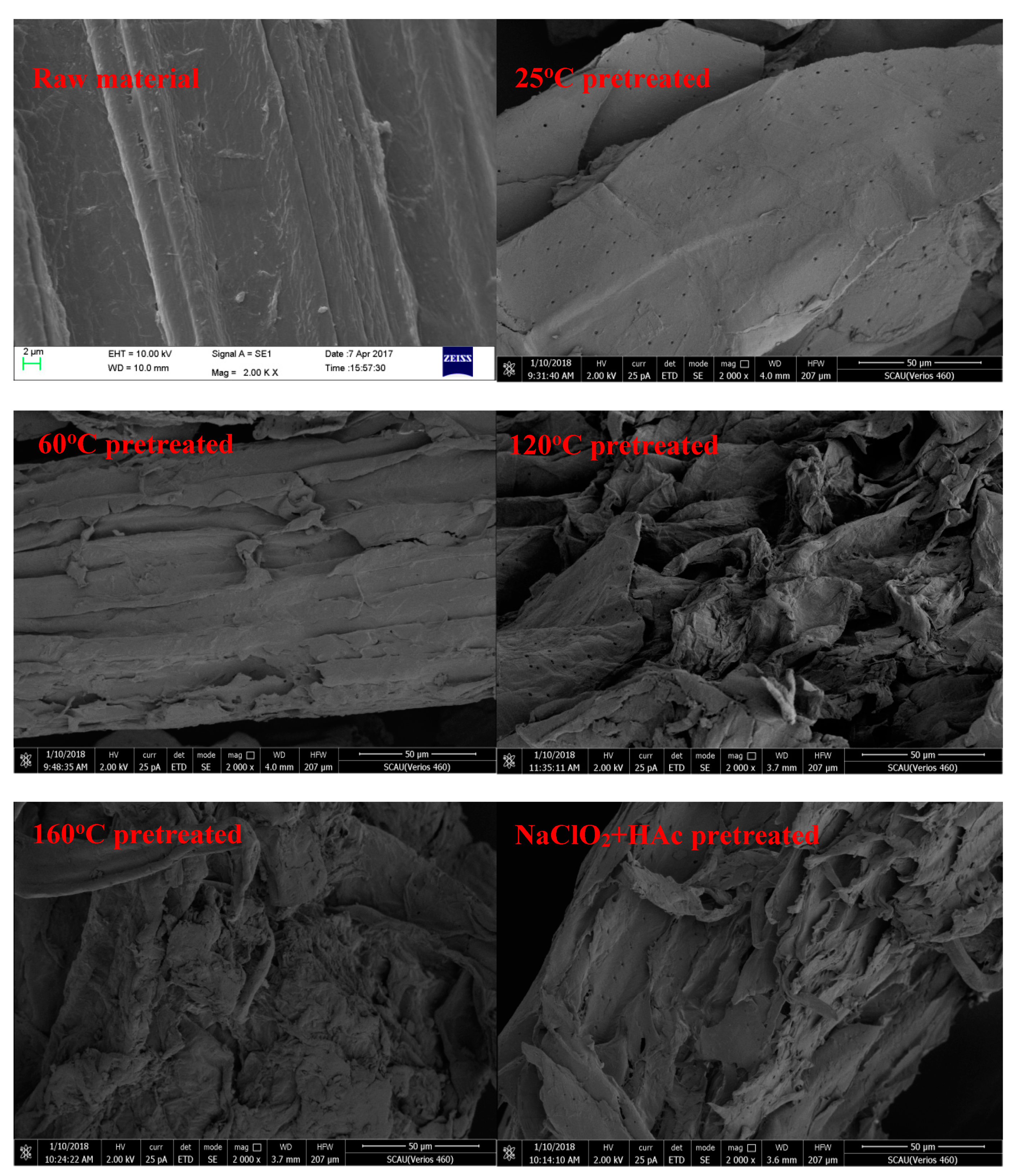 Fermentation 09 00371 g001