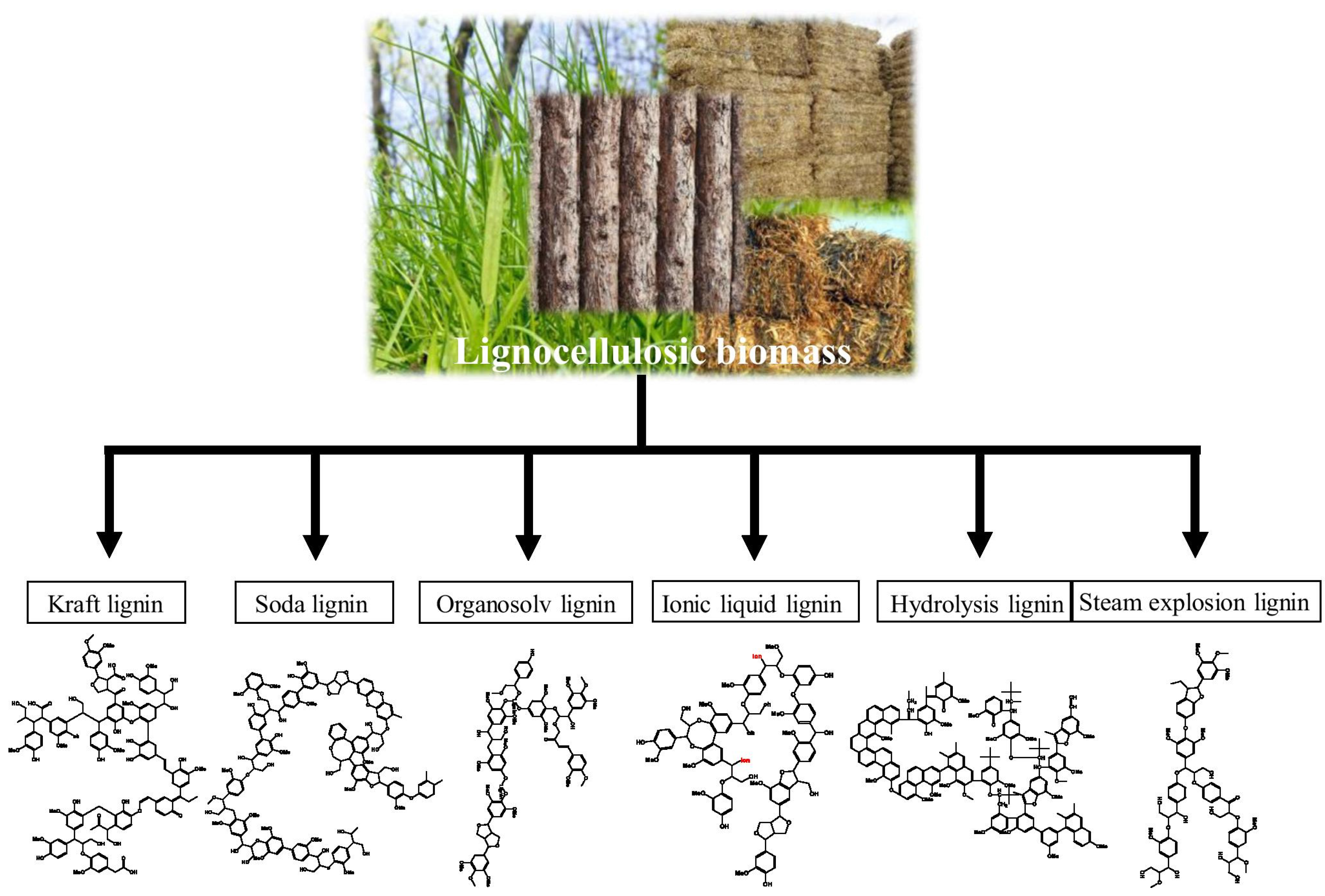Fermentation 09 00386 g003