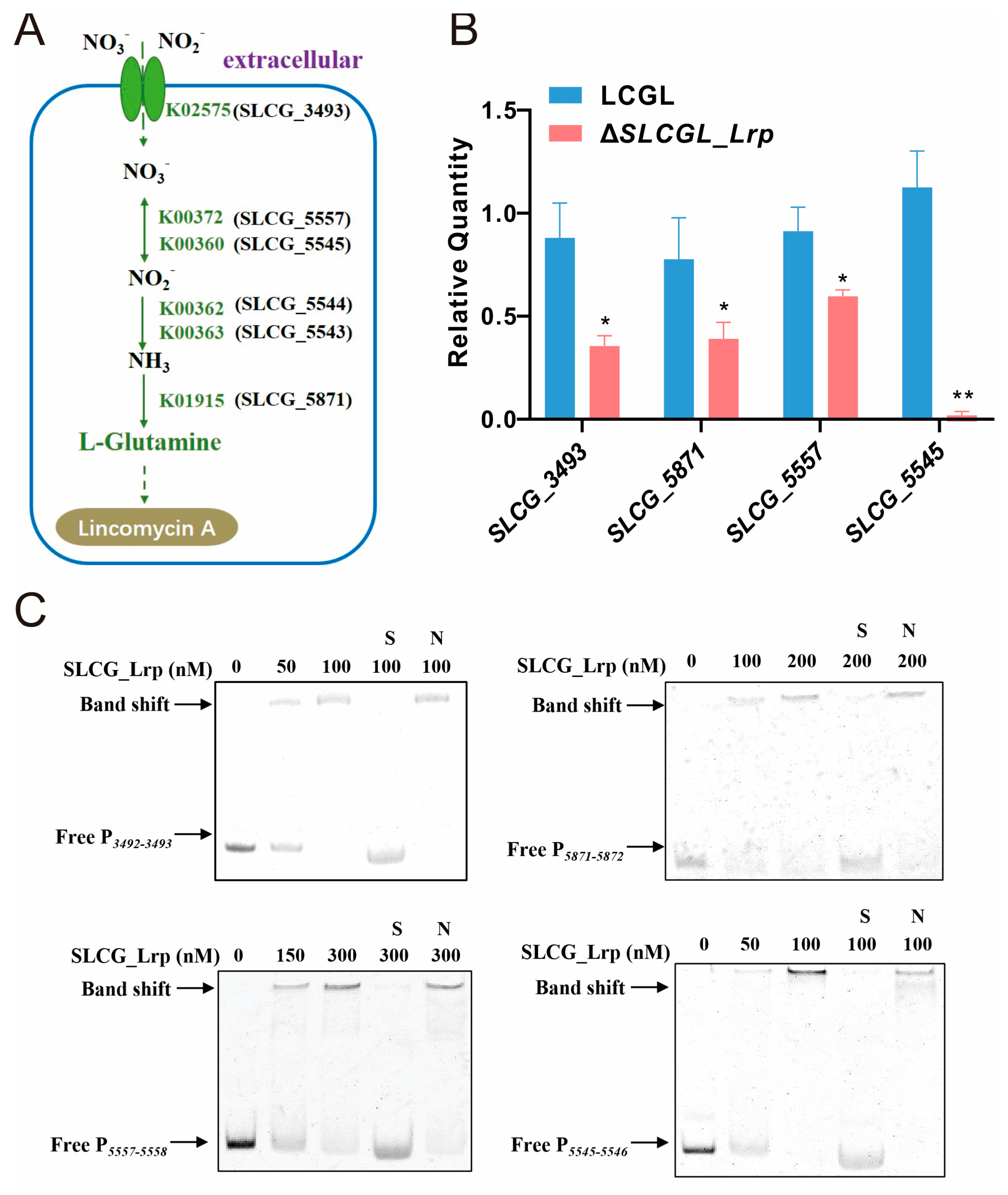 Fermentation 09 00396 g003 Fermentation 09 00396 g003