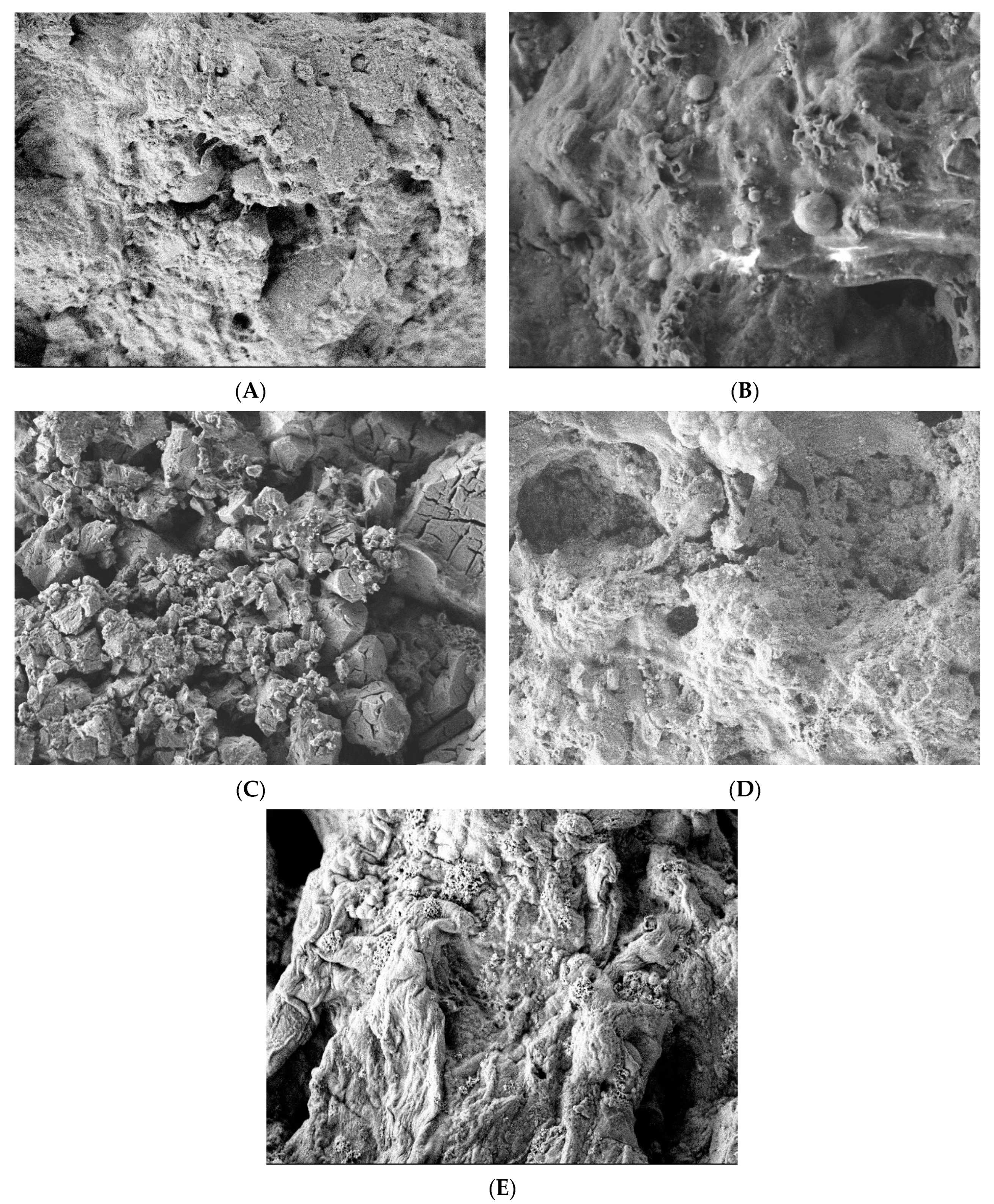 Fermentation 09 00399 g002 Fermentation 09 00399 g002