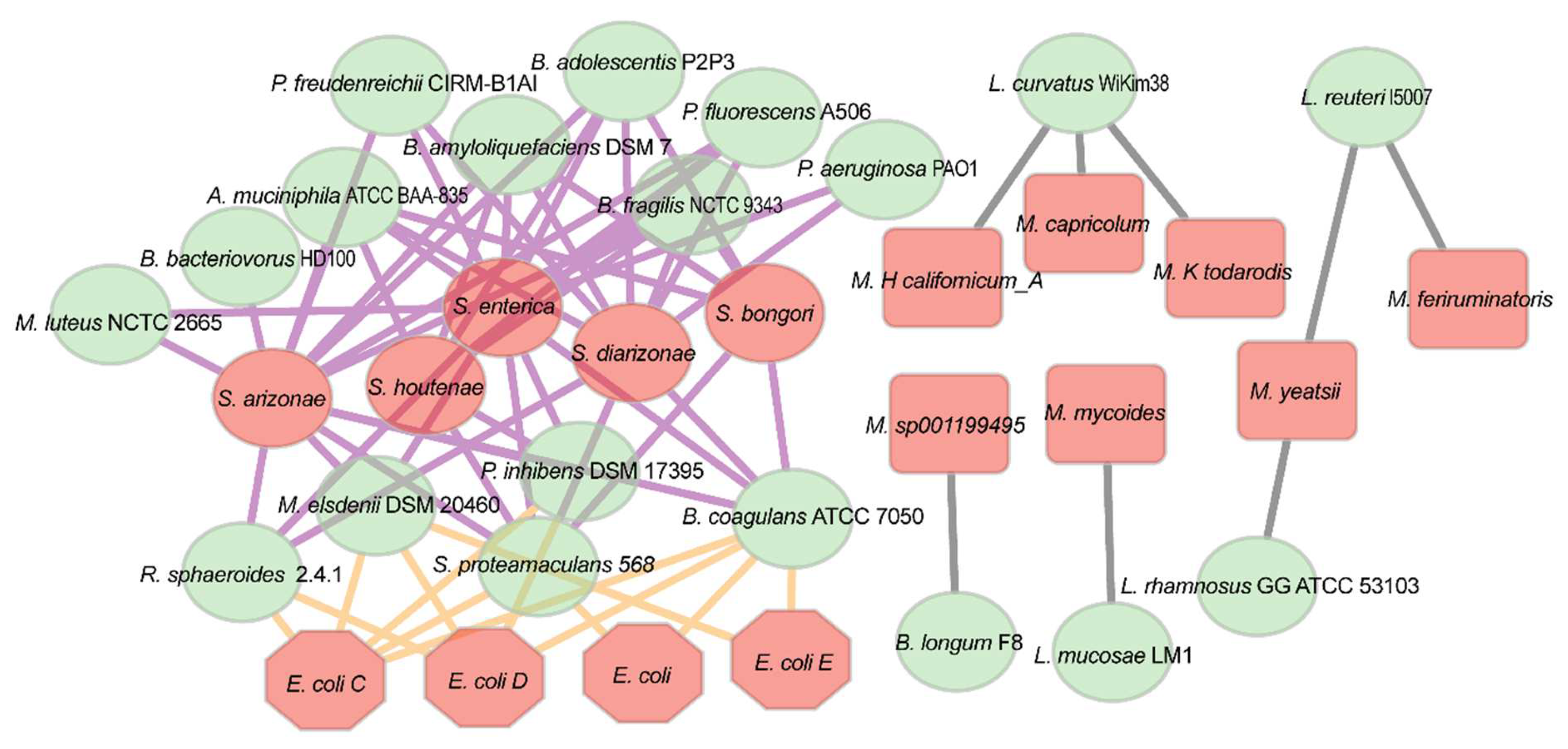 Fermentation 09 00417 g004 Fermentation 09 00417 g004