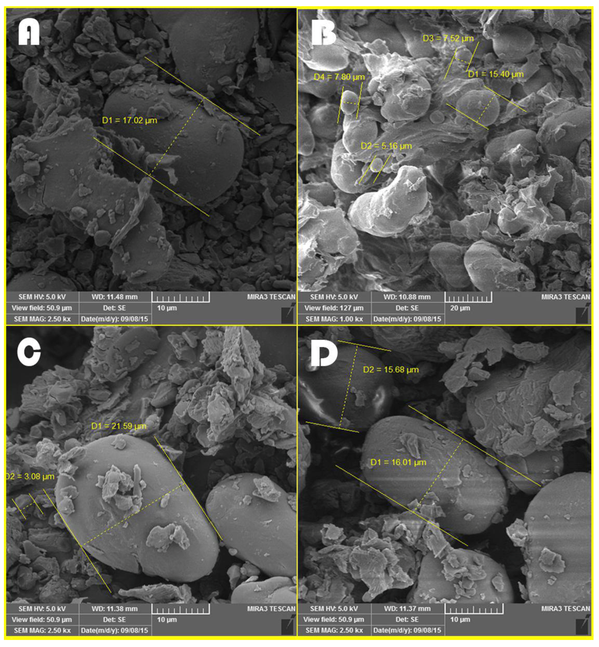 Fermentation 09 00419 g001 Fermentation 09 00419 g001
