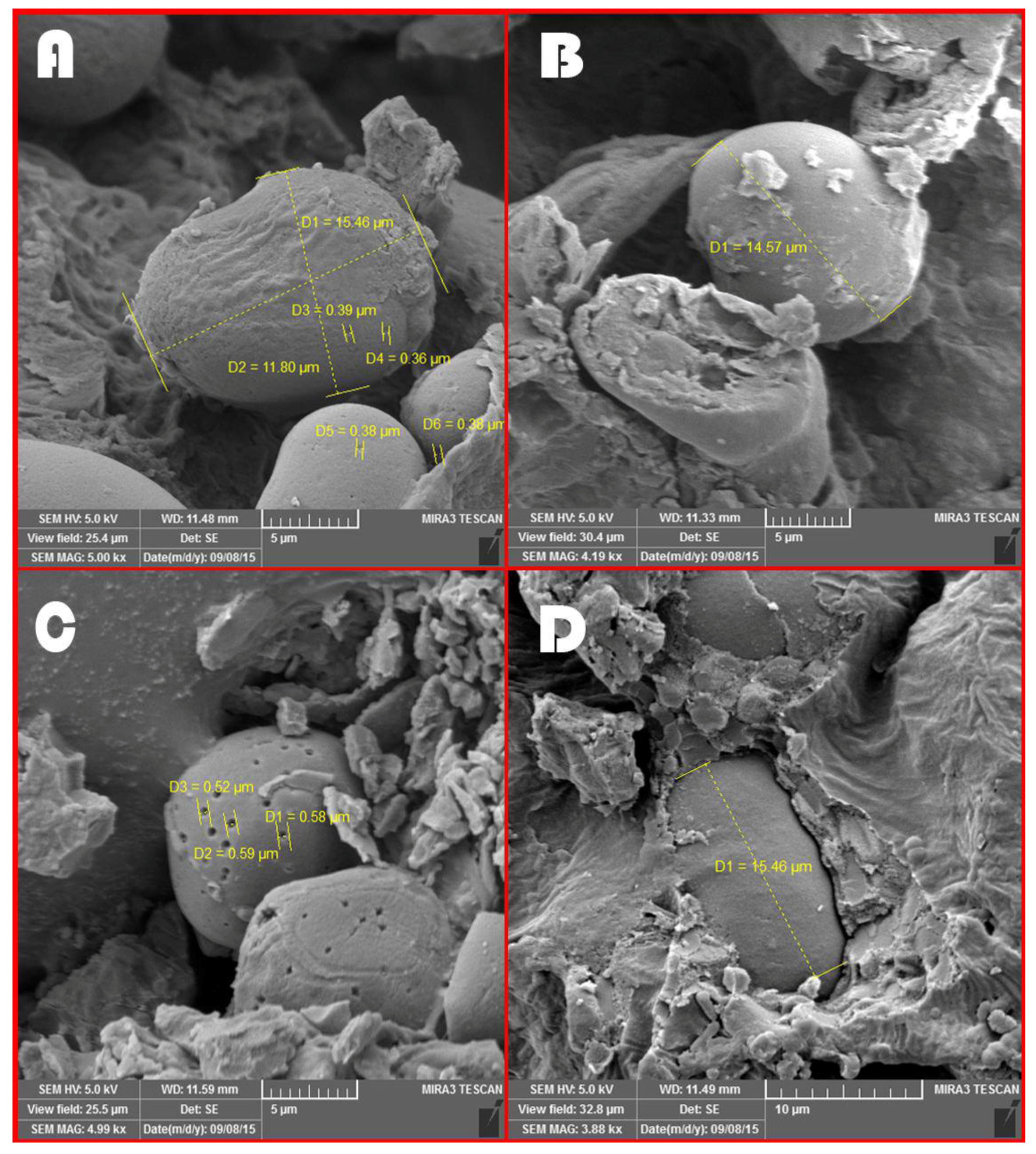 Fermentation 09 00419 g002 Fermentation 09 00419 g002
