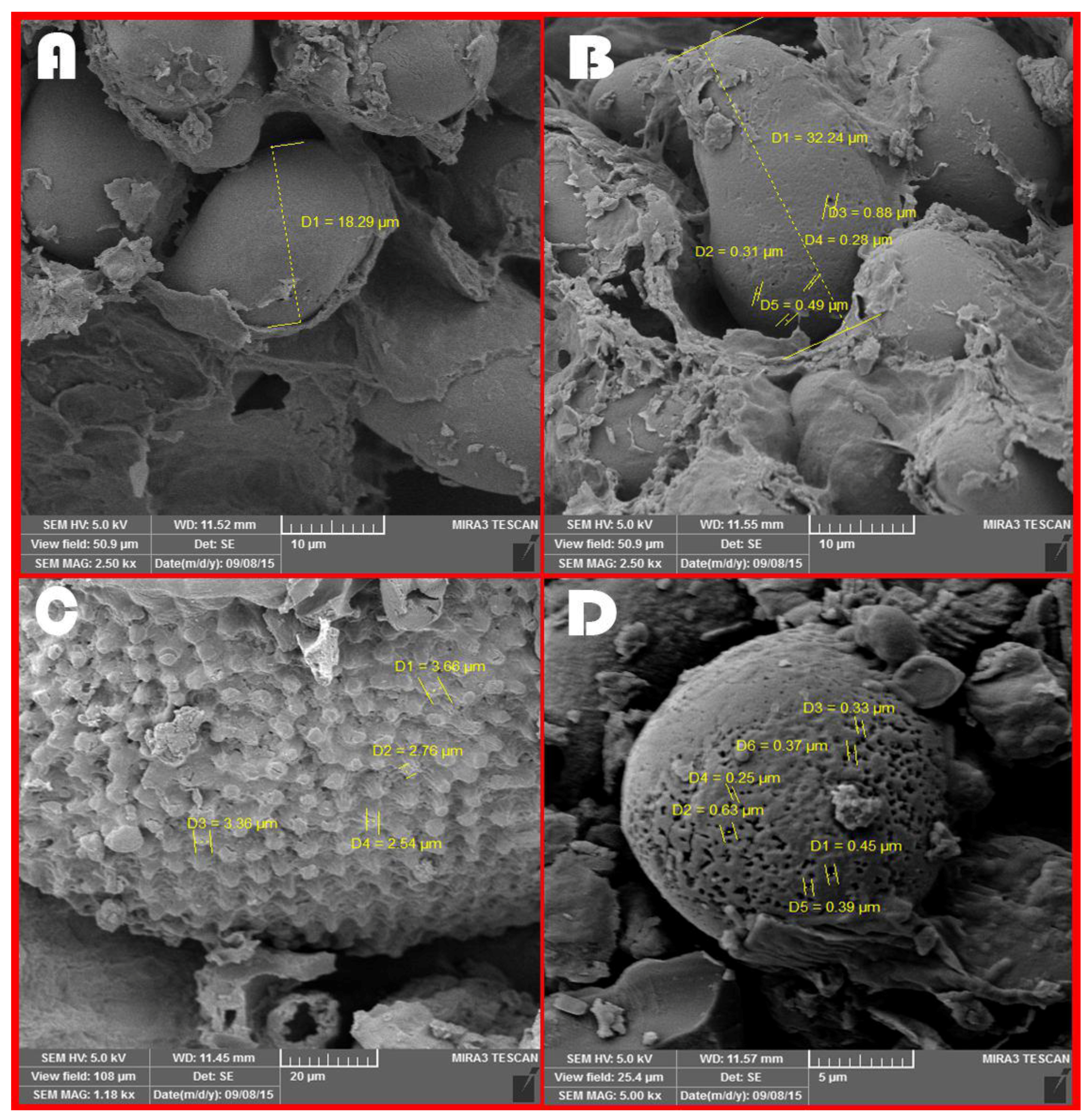 Fermentation 09 00419 g003 Fermentation 09 00419 g003