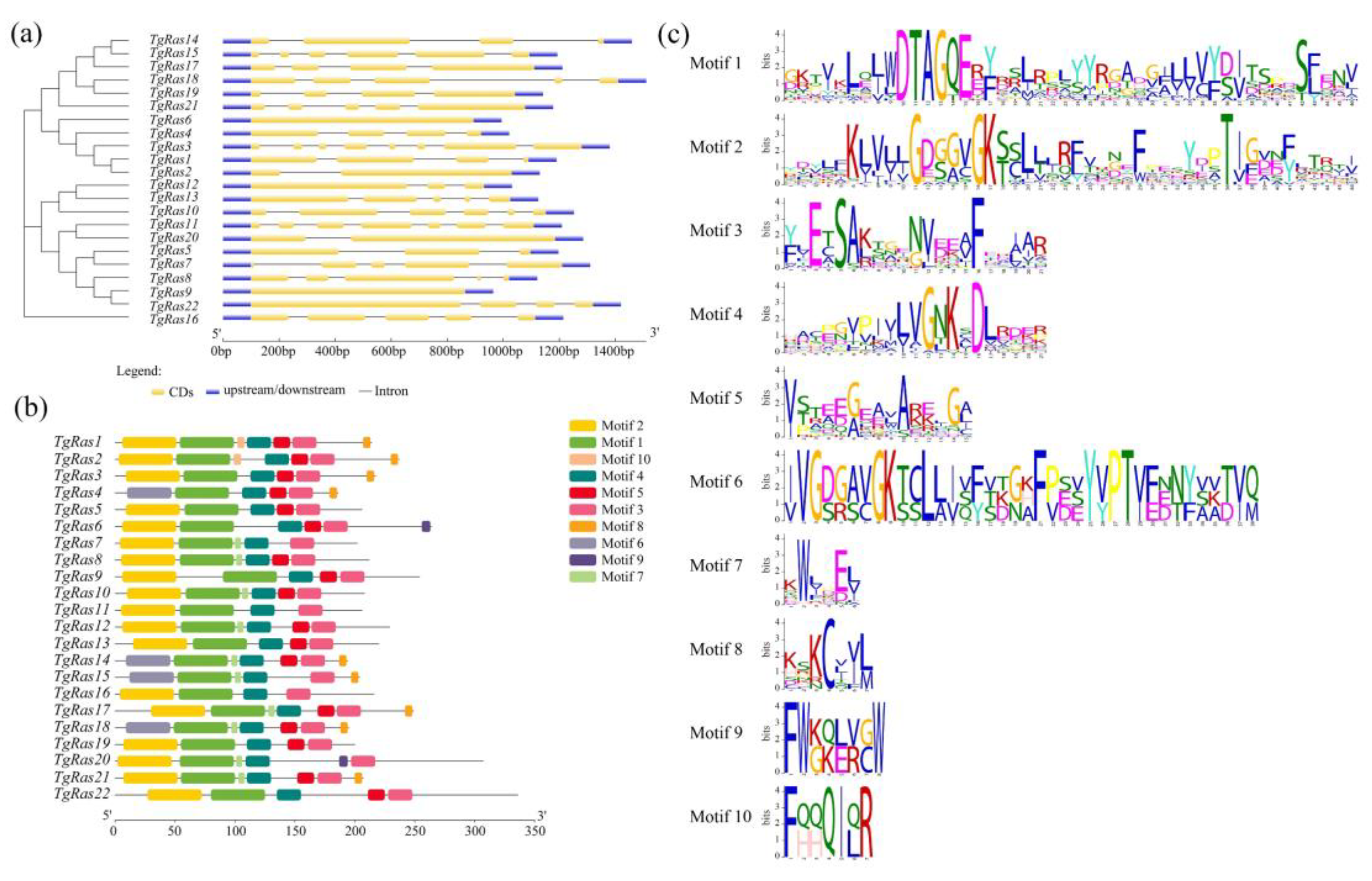 Fermentation 09 00440 g002 Fermentation 09 00440 g002