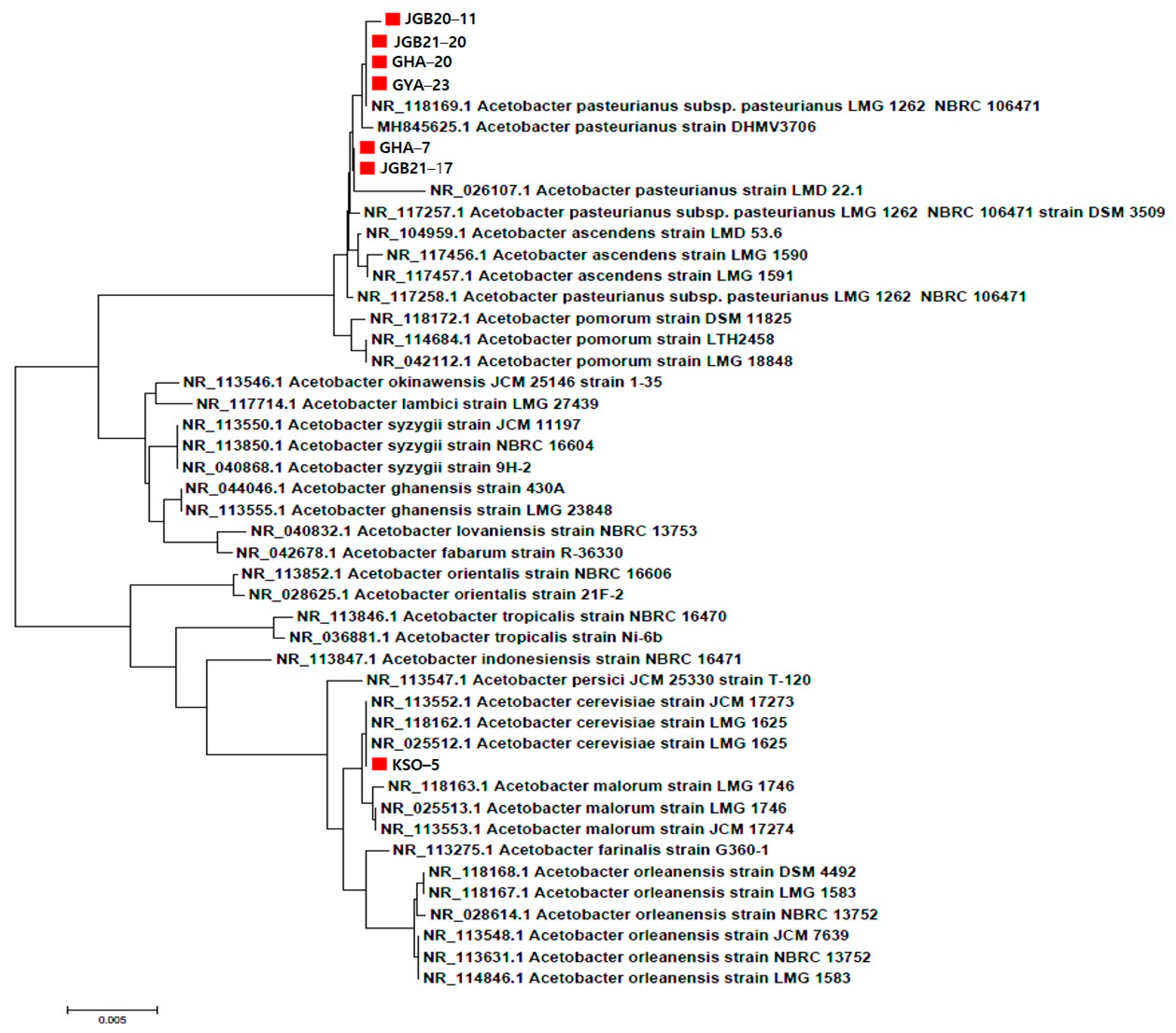 Fermentation 09 00447 g001 Fermentation 09 00447 g001