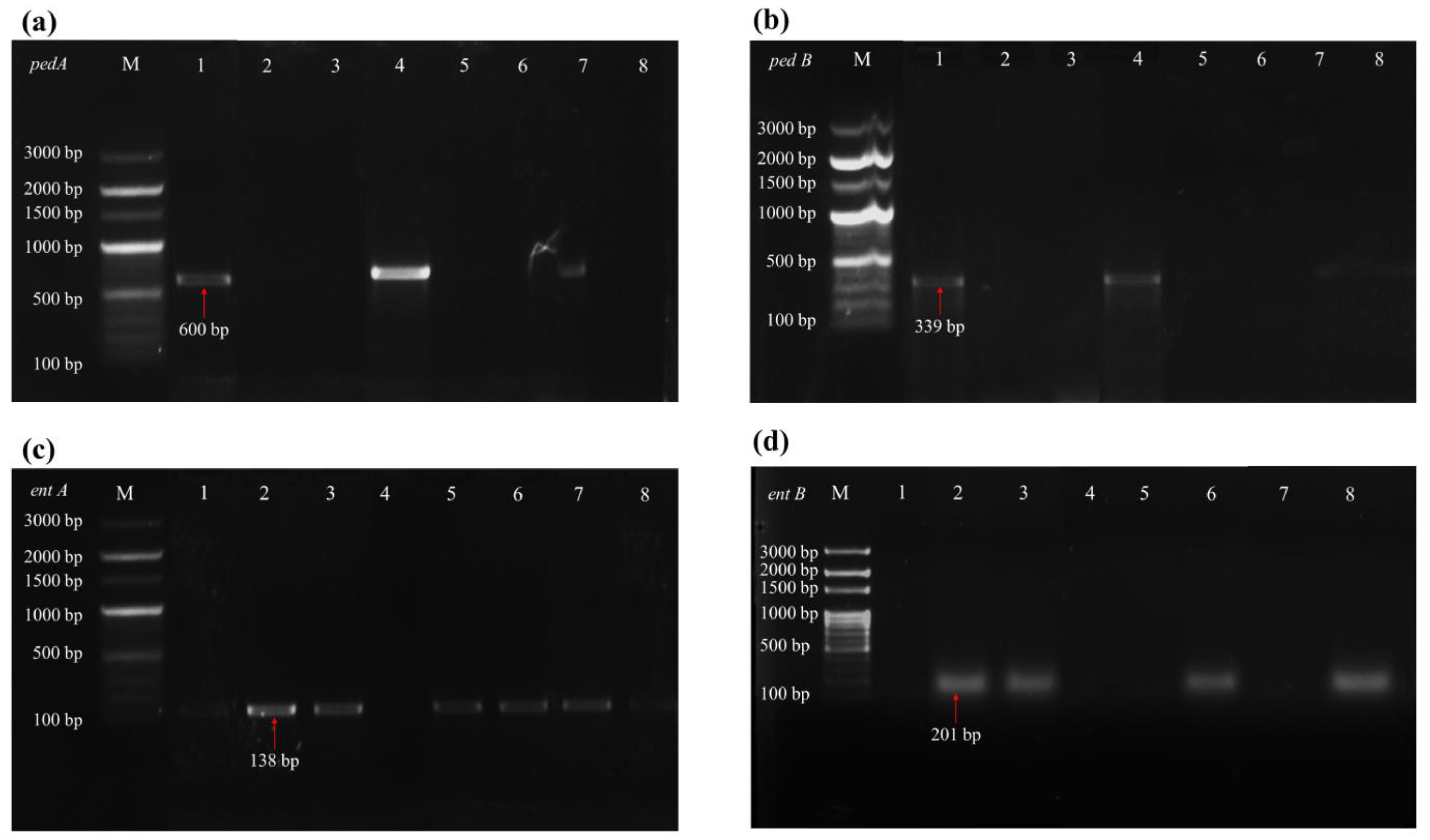 Fermentation 09 00461 g004 Fermentation 09 00461 g004