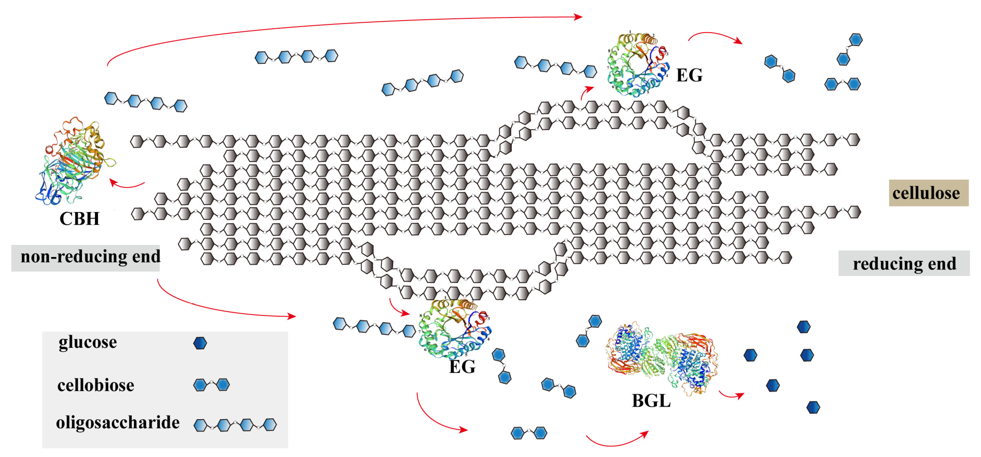 Fermentation 09 00462 g001 Fermentation 09 00462 g001