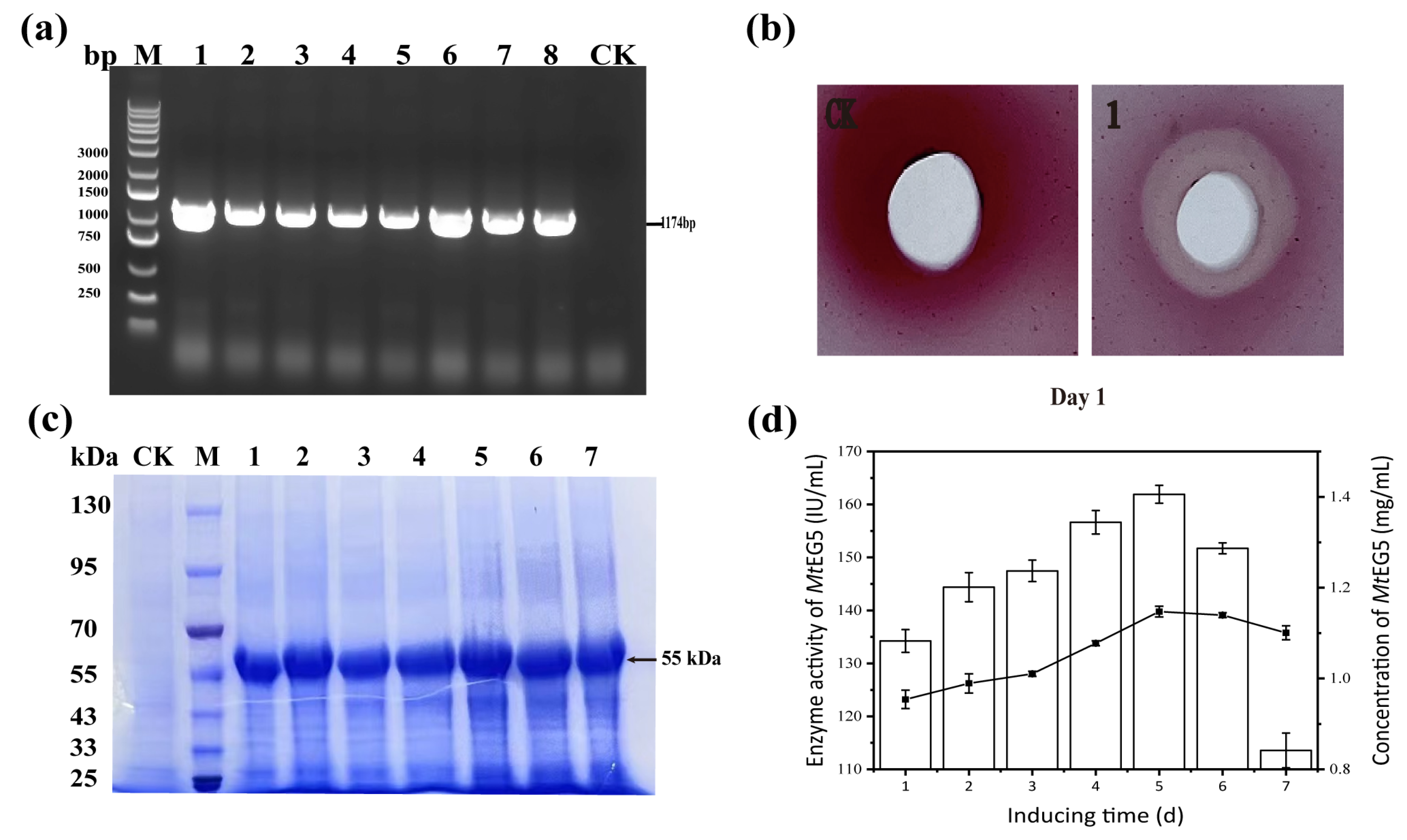 Fermentation 09 00462 g003 Fermentation 09 00462 g003