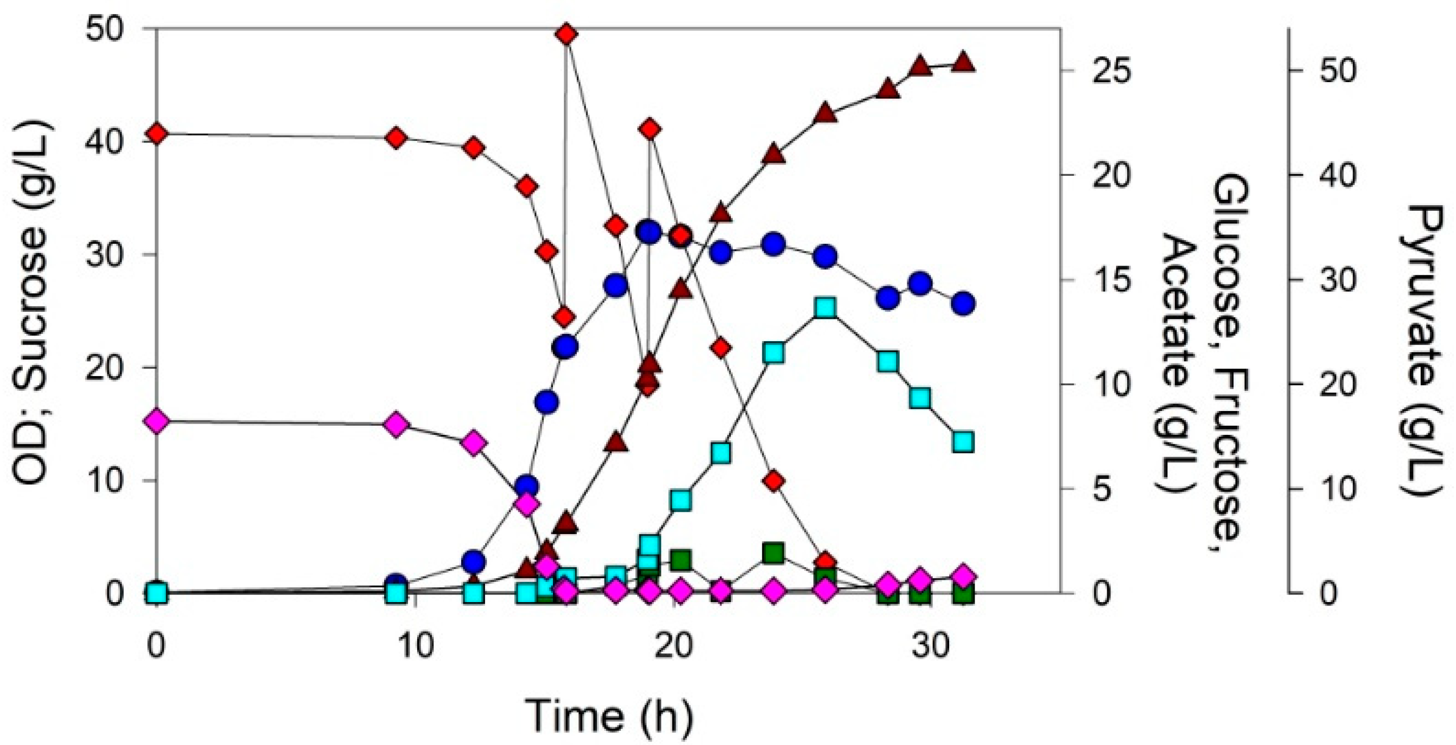 Fermentation 09 00478 g003 Fermentation 09 00478 g003