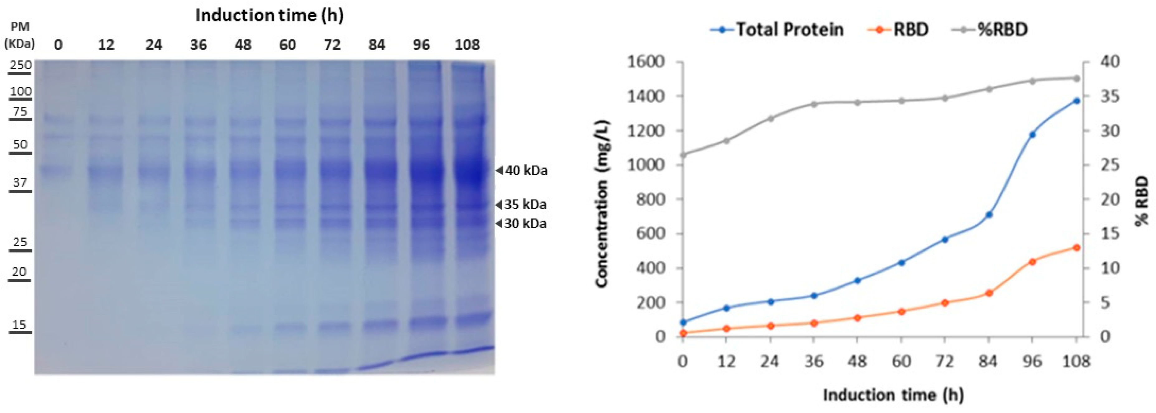 Fermentation 09 00497 g003 Fermentation 09 00497 g003
