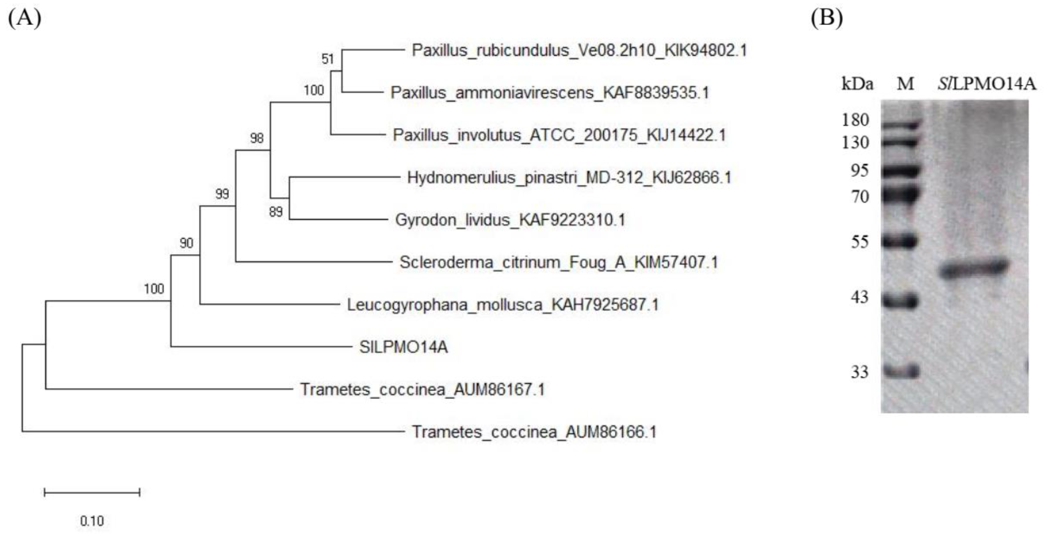 Fermentation 09 00506 g002 Fermentation 09 00506 g002