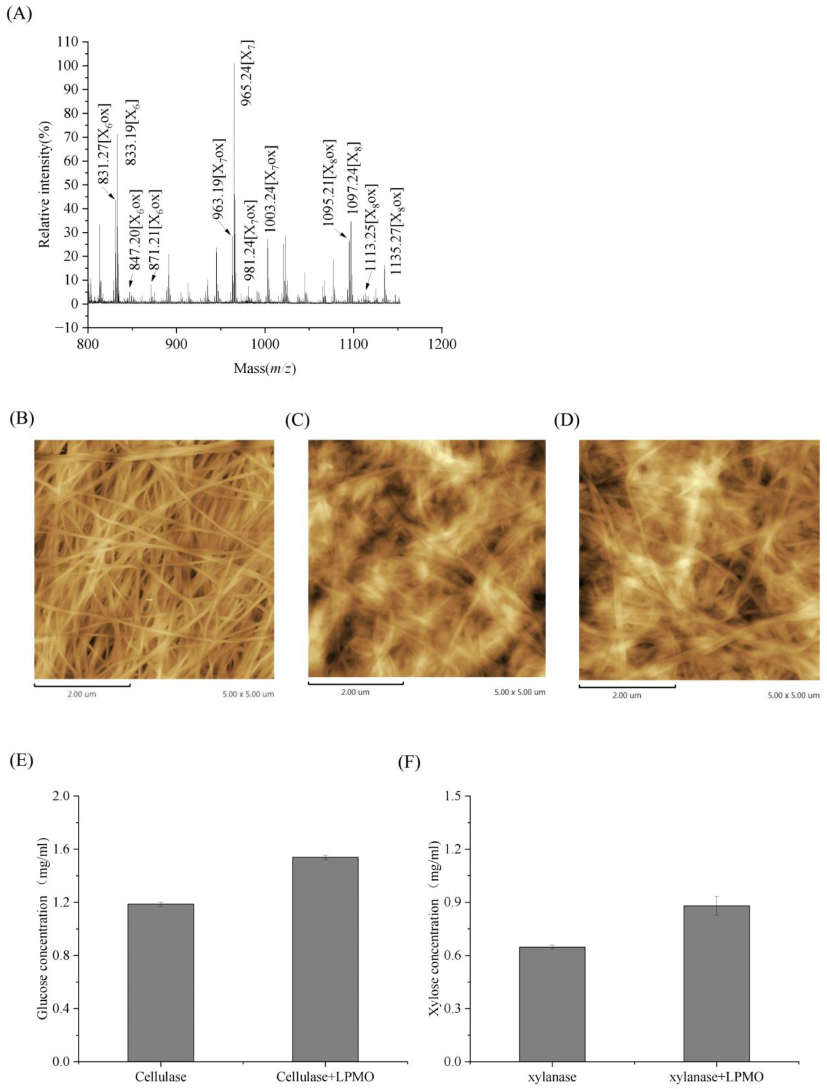 Fermentation 09 00506 g005 Fermentation 09 00506 g005