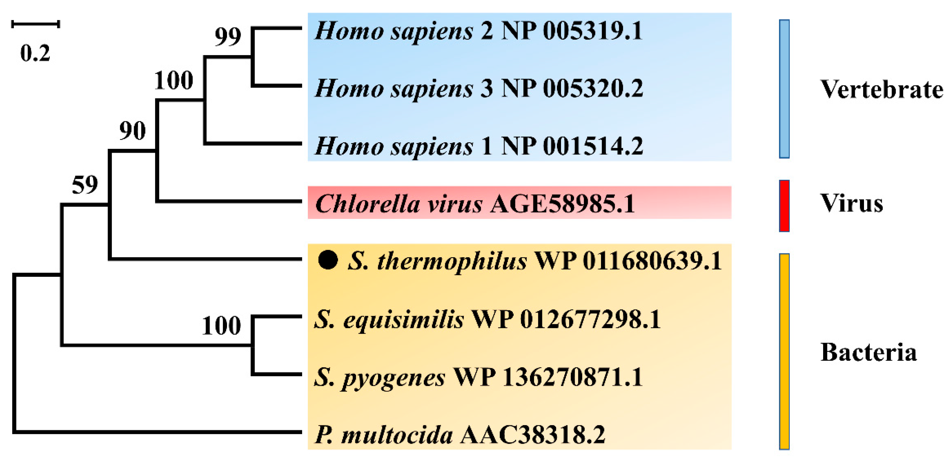 Fermentation 09 00510 g001 Fermentation 09 00510 g001