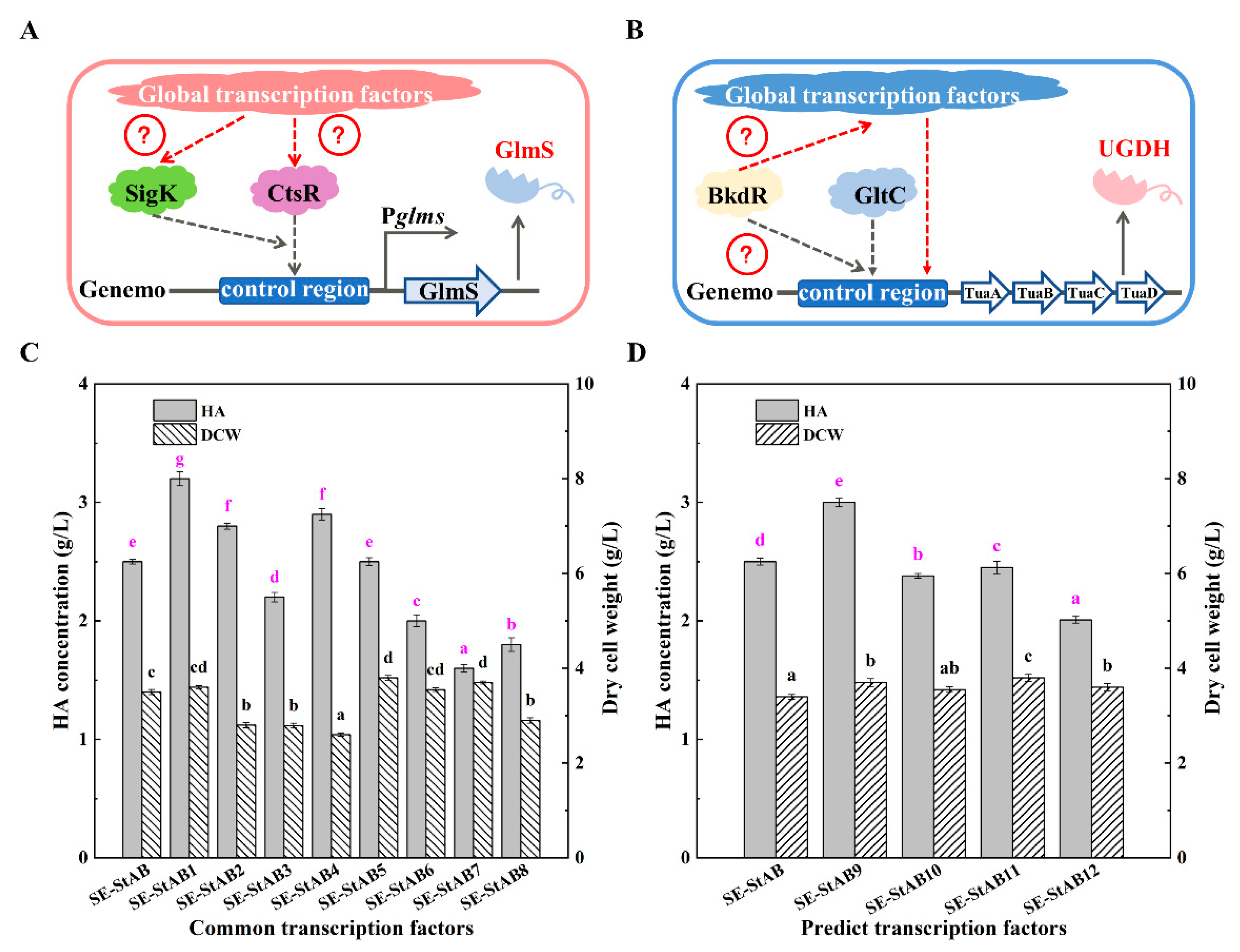 Fermentation 09 00510 g006 Fermentation 09 00510 g006