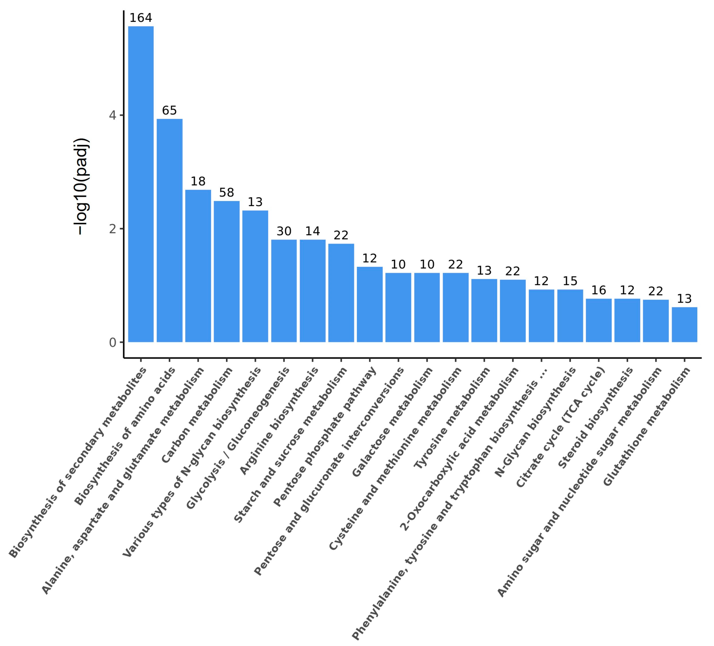 Fermentation 09 00542 g004 Fermentation 09 00542 g004