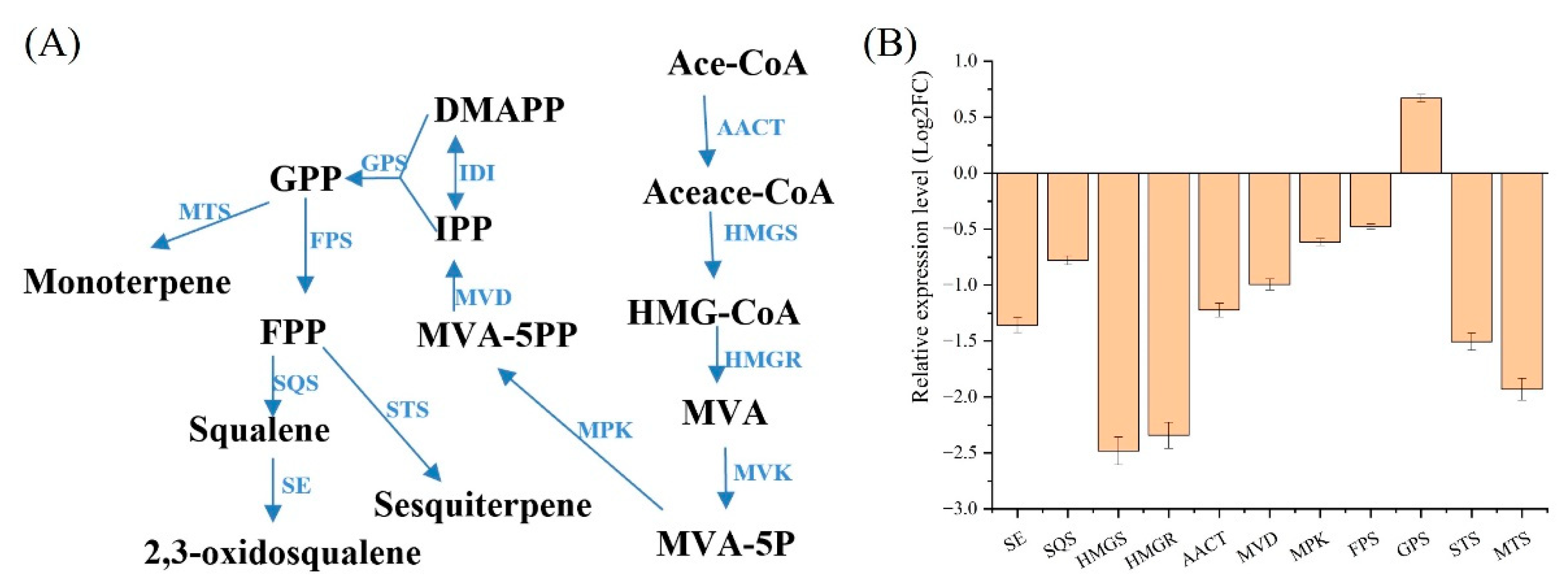Fermentation 09 00542 g006 Fermentation 09 00542 g006