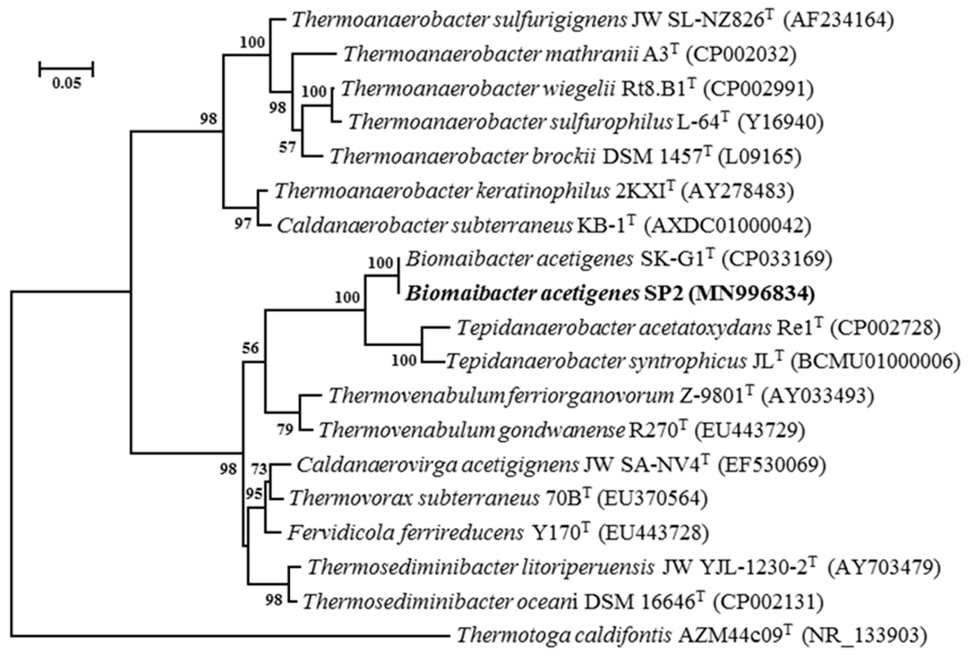 Fermentation 09 00557 g006 Fermentation 09 00557 g006