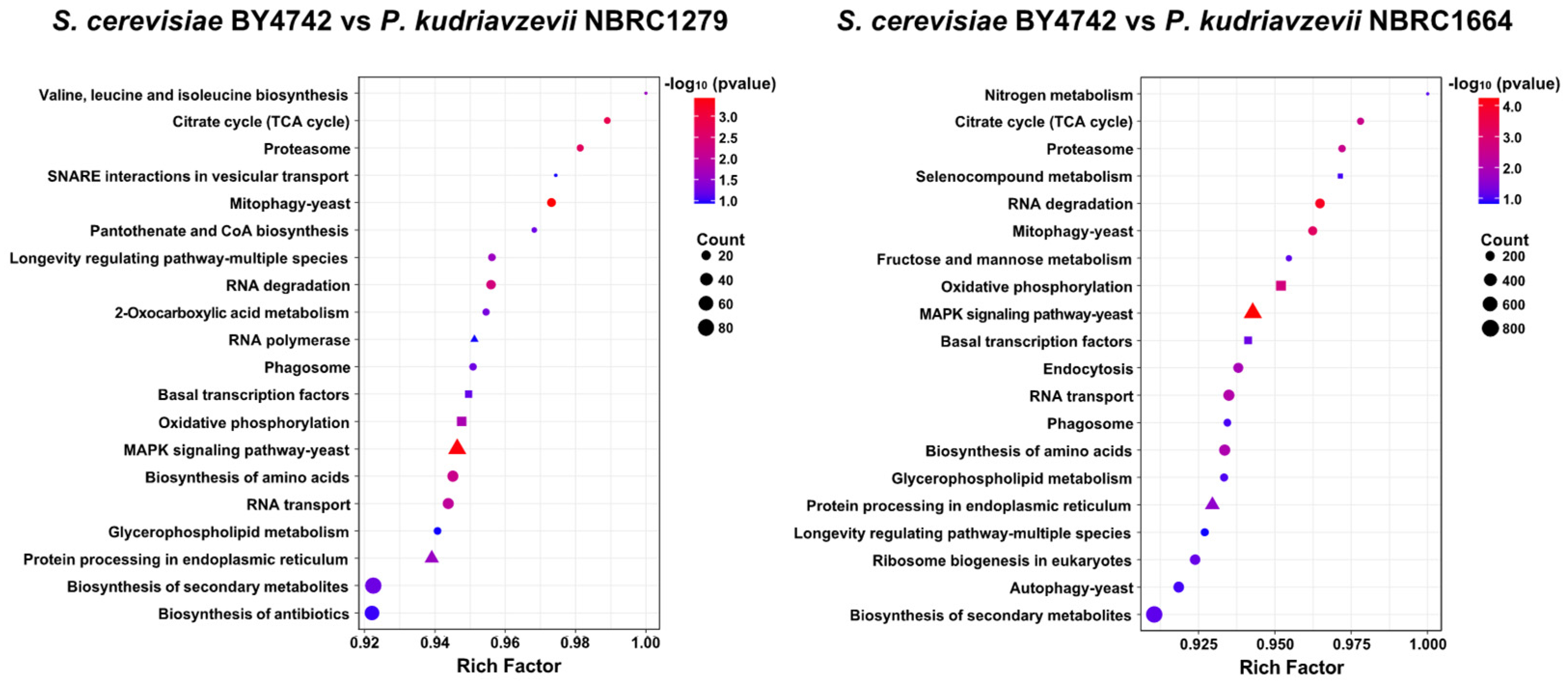 Fermentation 09 00559 g004 Fermentation 09 00559 g004