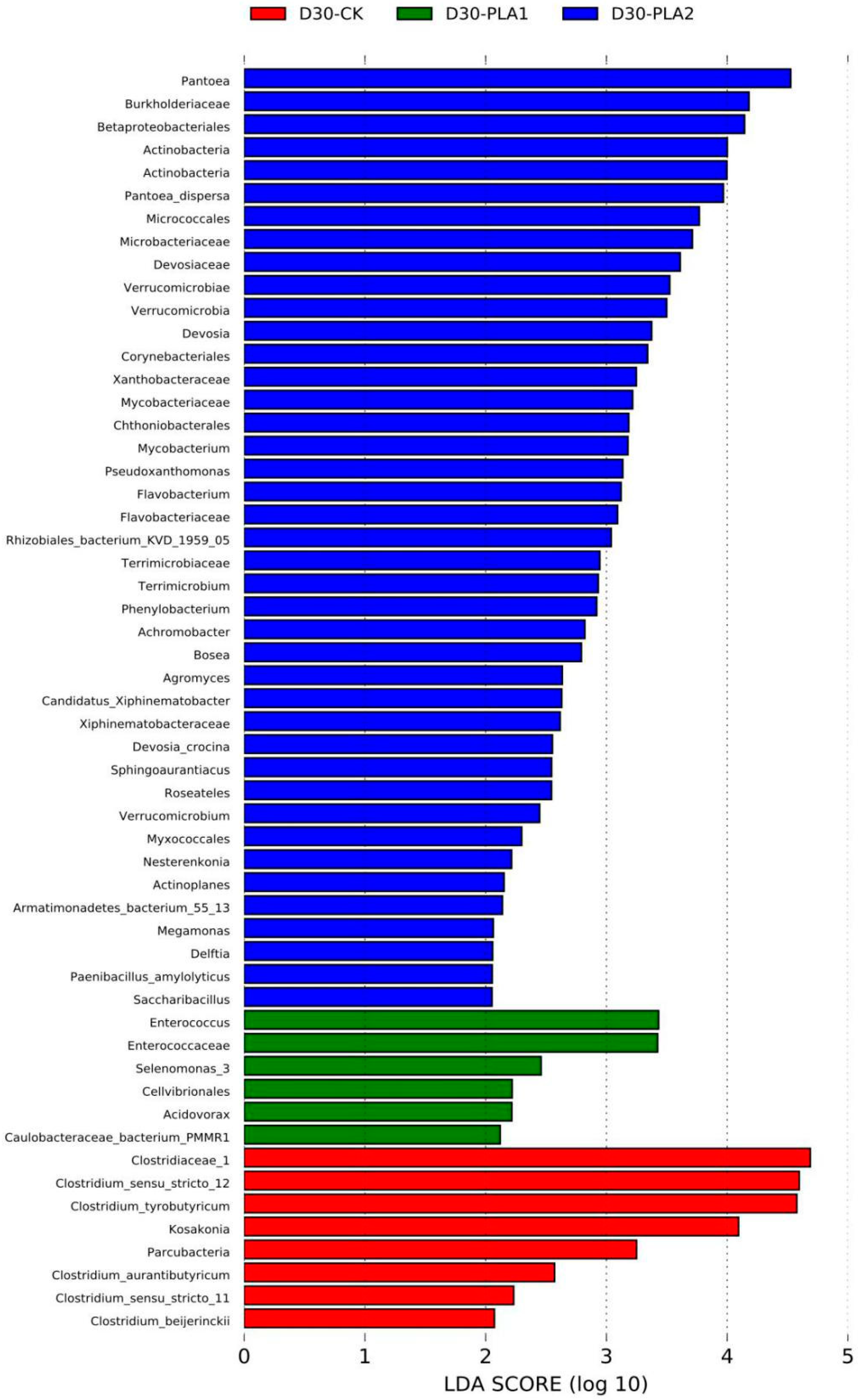 Fermentation 09 00572 g004 Fermentation 09 00572 g004