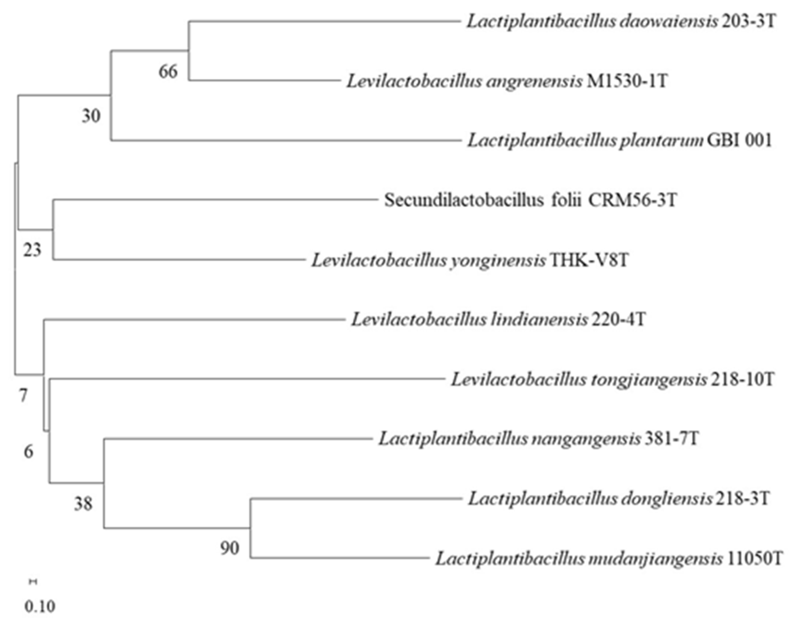 Fermentation 09 00578 g002