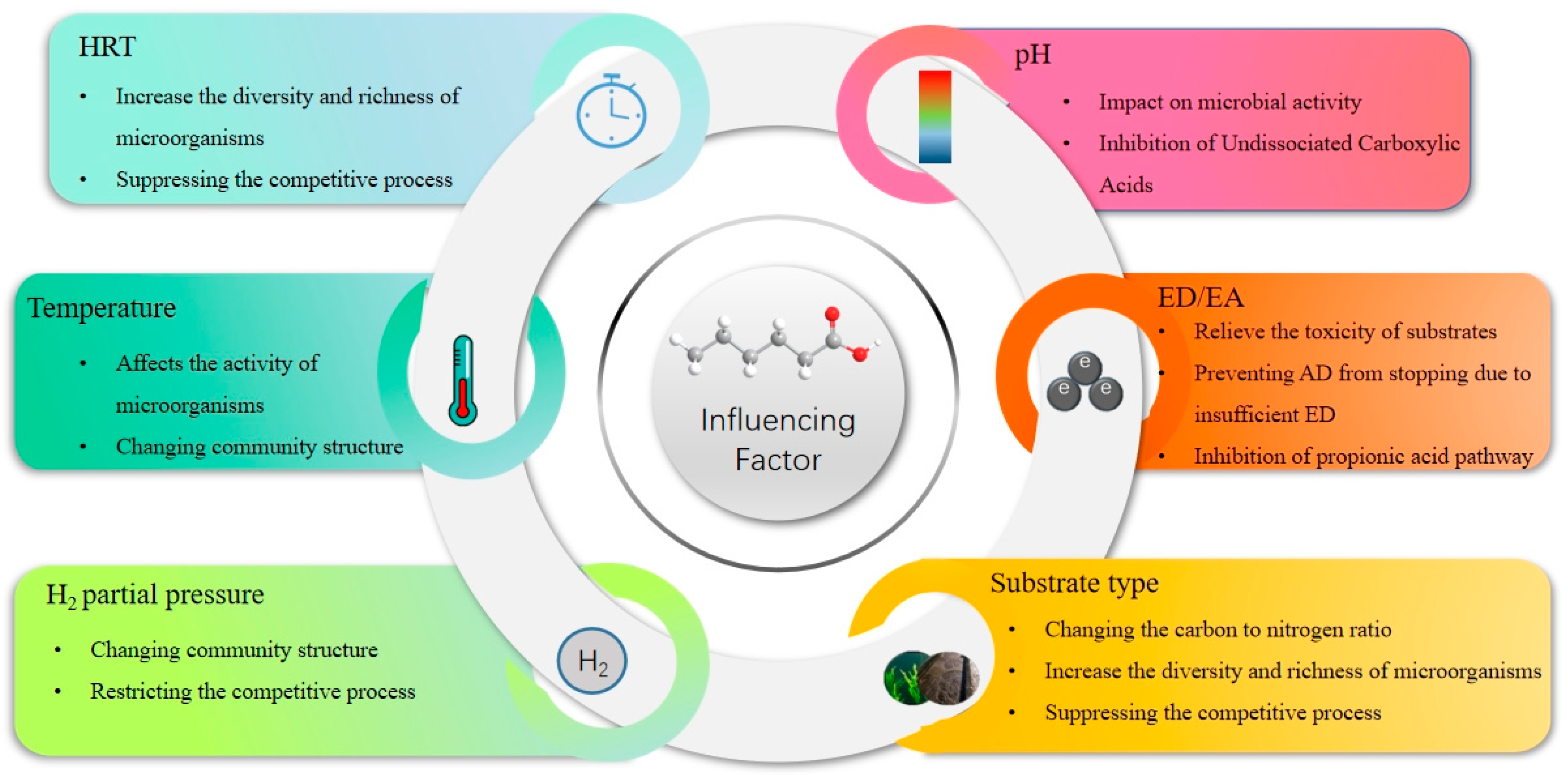 Fermentation 09 00586 g002