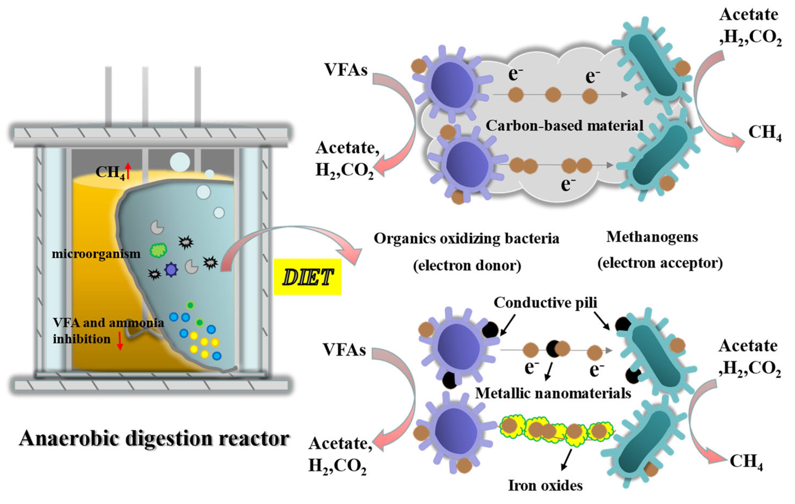 Fermentation 09 00603 g004