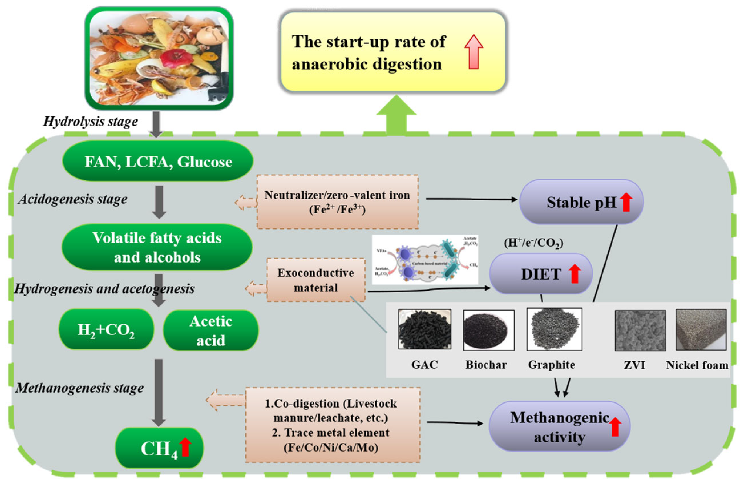 Fermentation 09 00603 g005