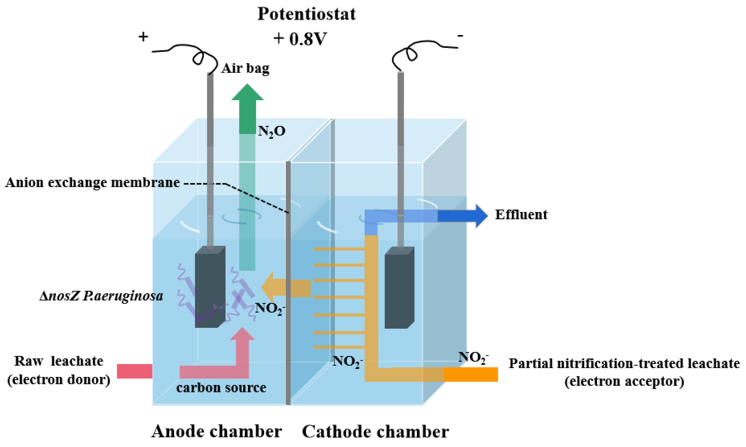 Fermentation 09 00607 g001 Fermentation 09 00607 g001