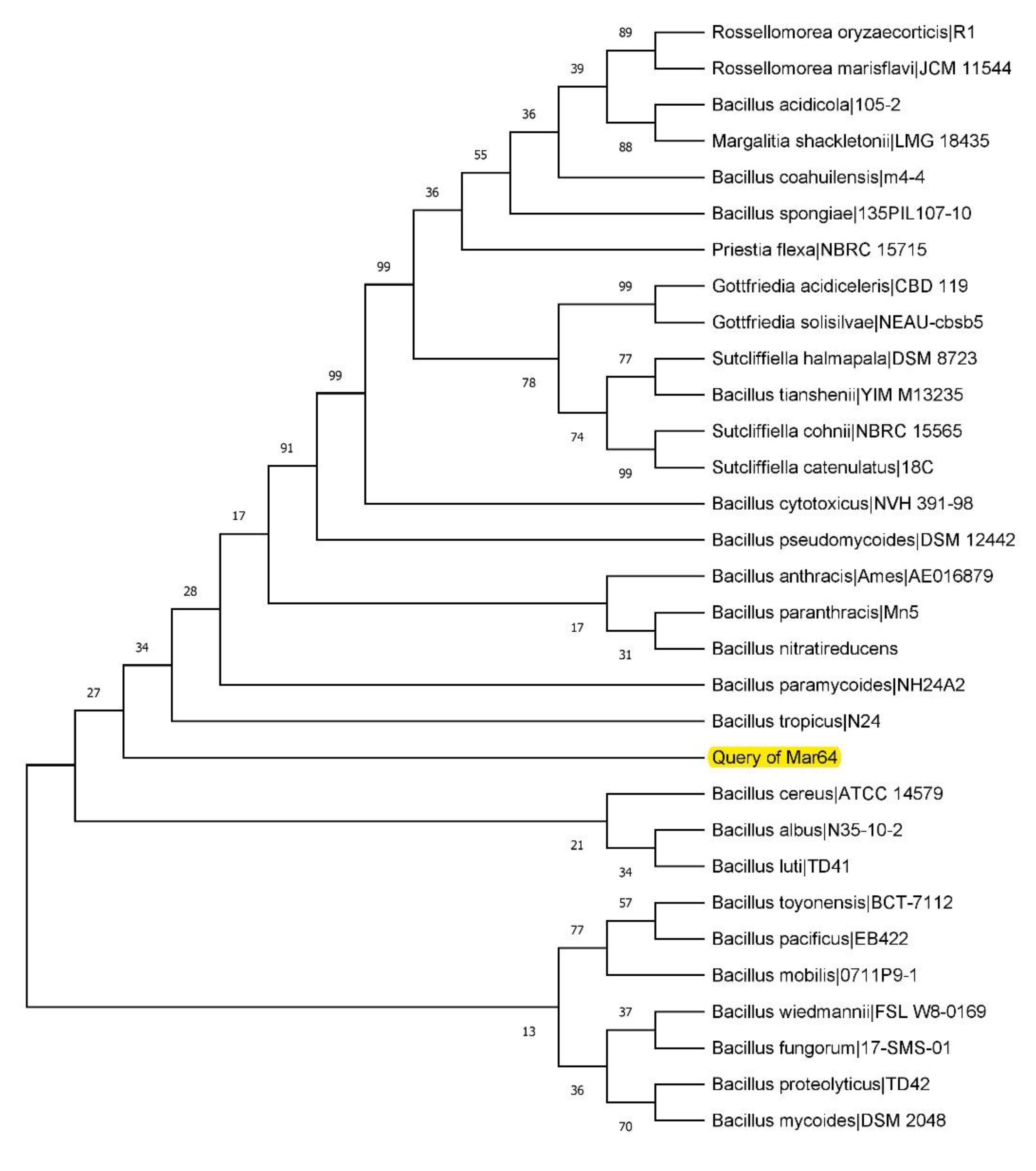 Fermentation 09 00637 g001