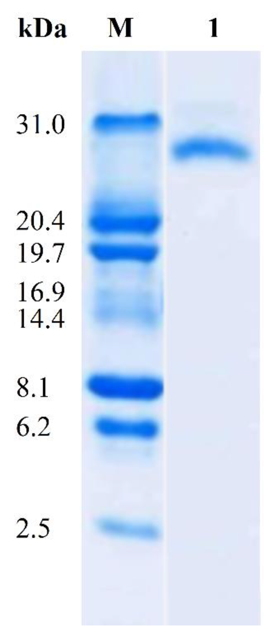 Fermentation 09 00637 g002