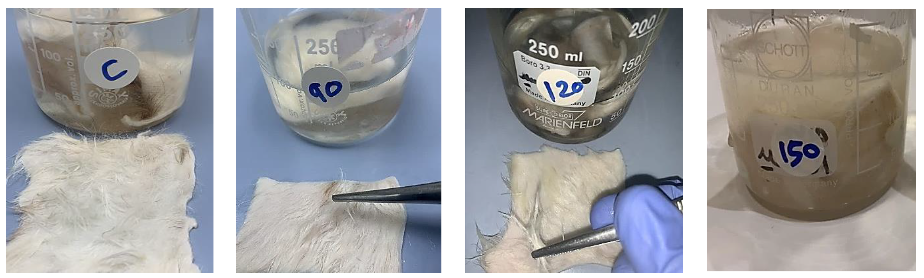 Fermentation 09 00637 g008