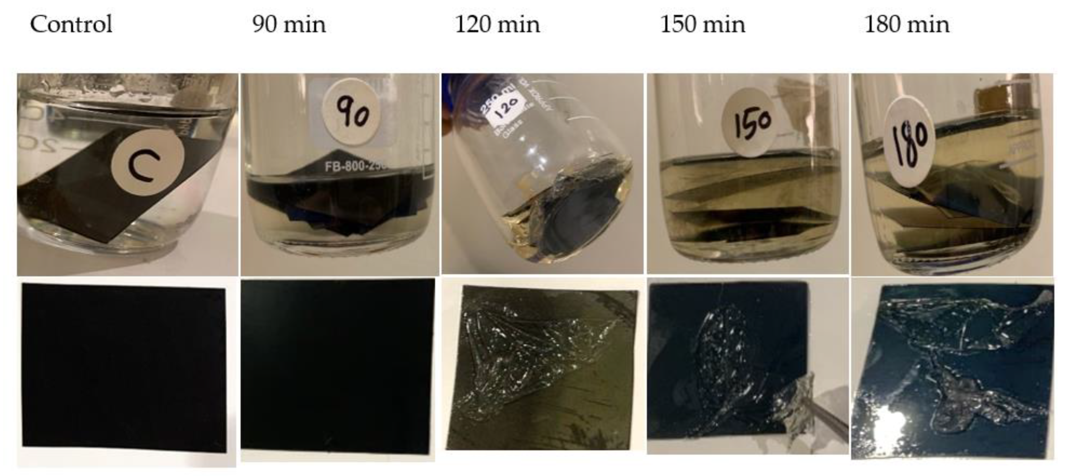 Fermentation 09 00637 g009