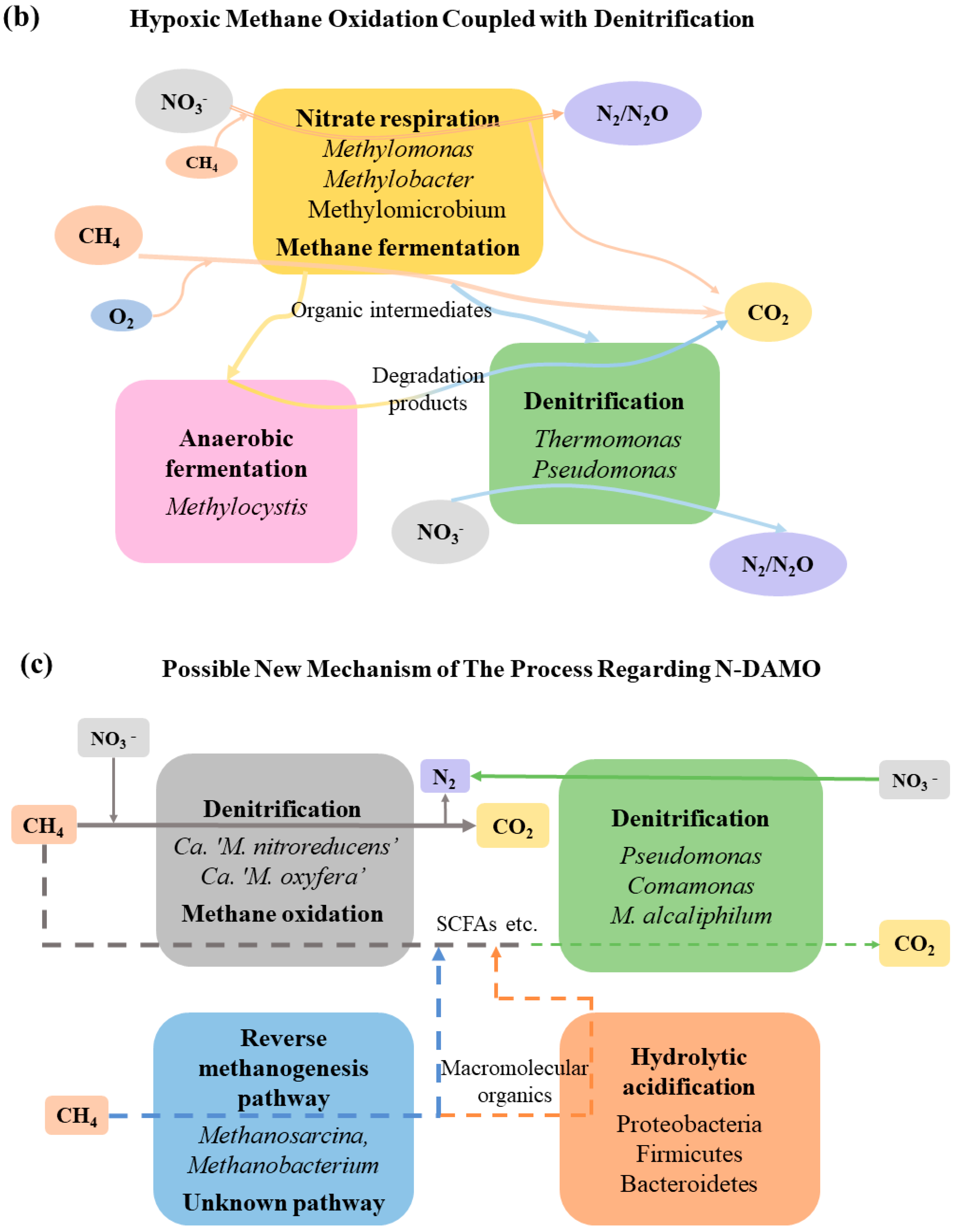 Fermentation 09 00645 g004b Fermentation 09 00645 g004b
