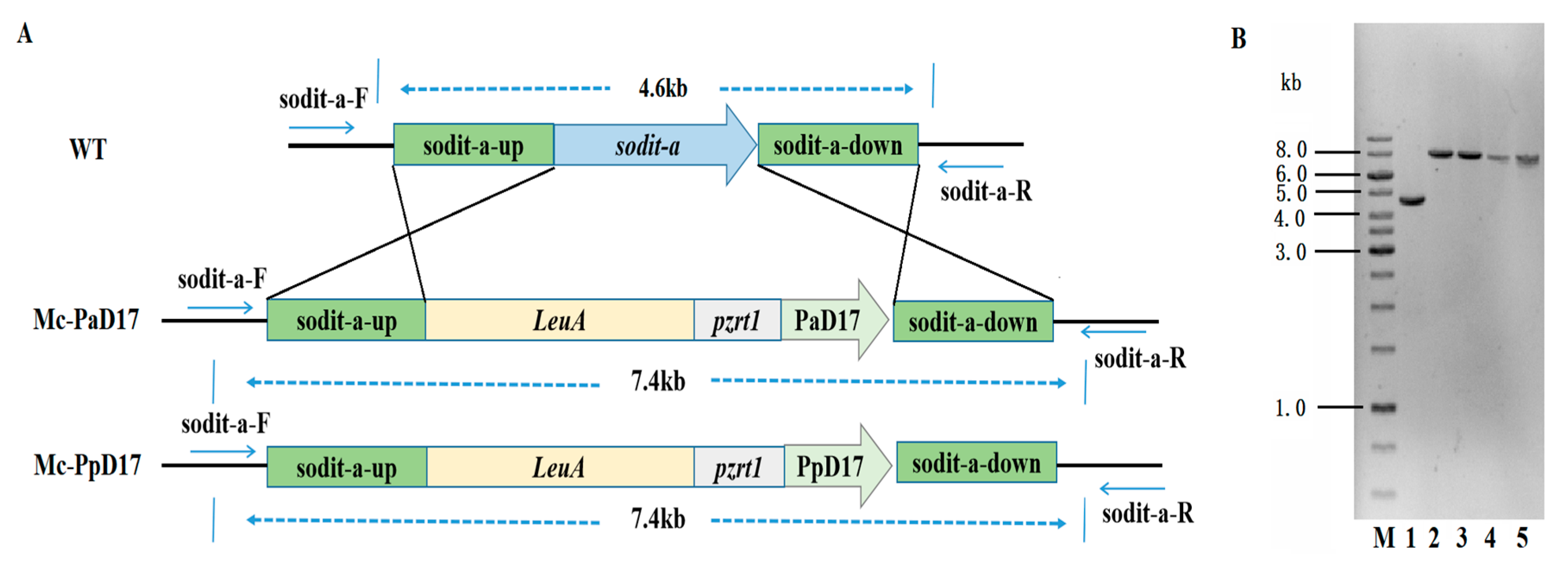 Fermentation 09 00653 g002 Fermentation 09 00653 g002