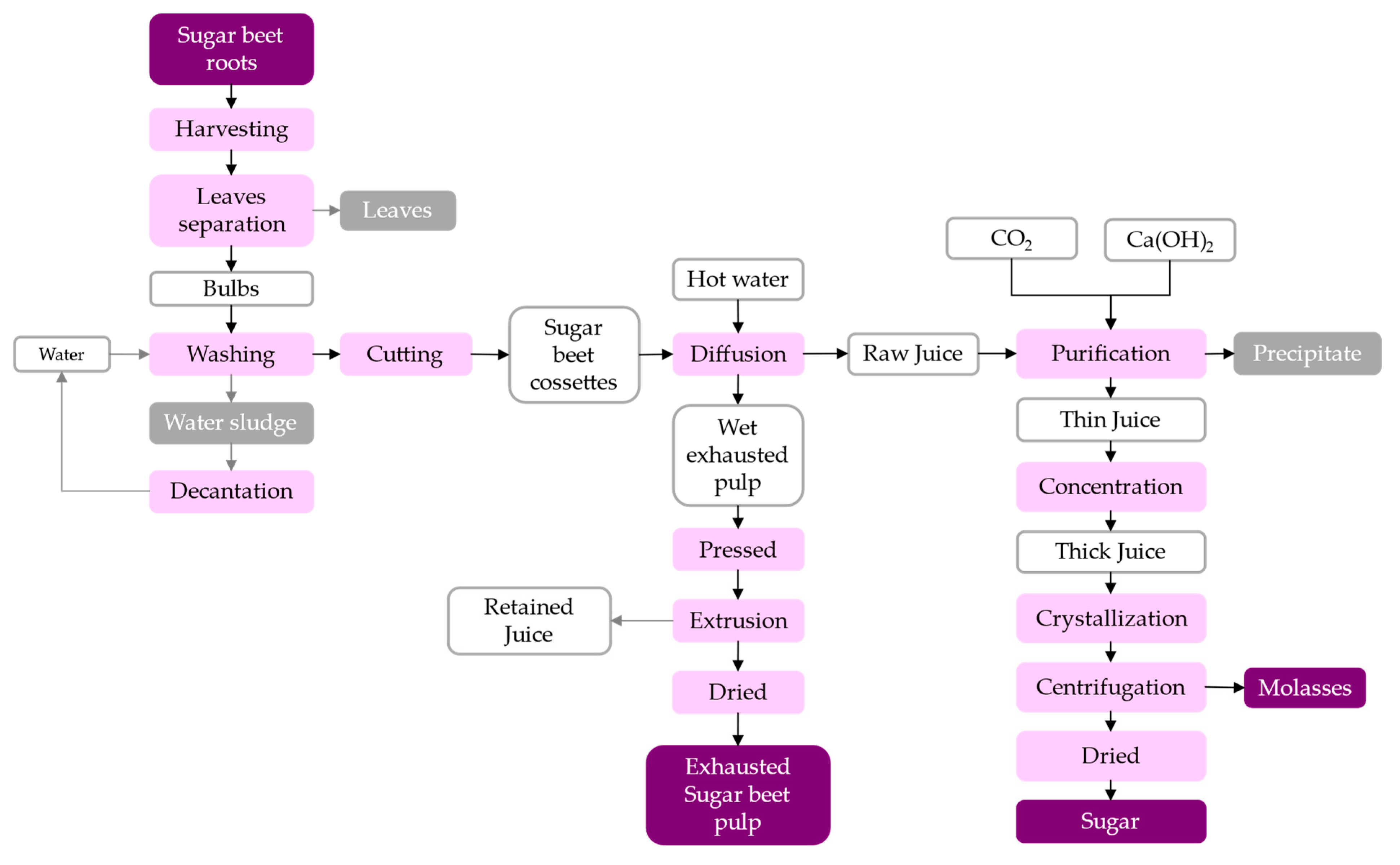 Fermentation 09 00655 g005 Fermentation 09 00655 g005